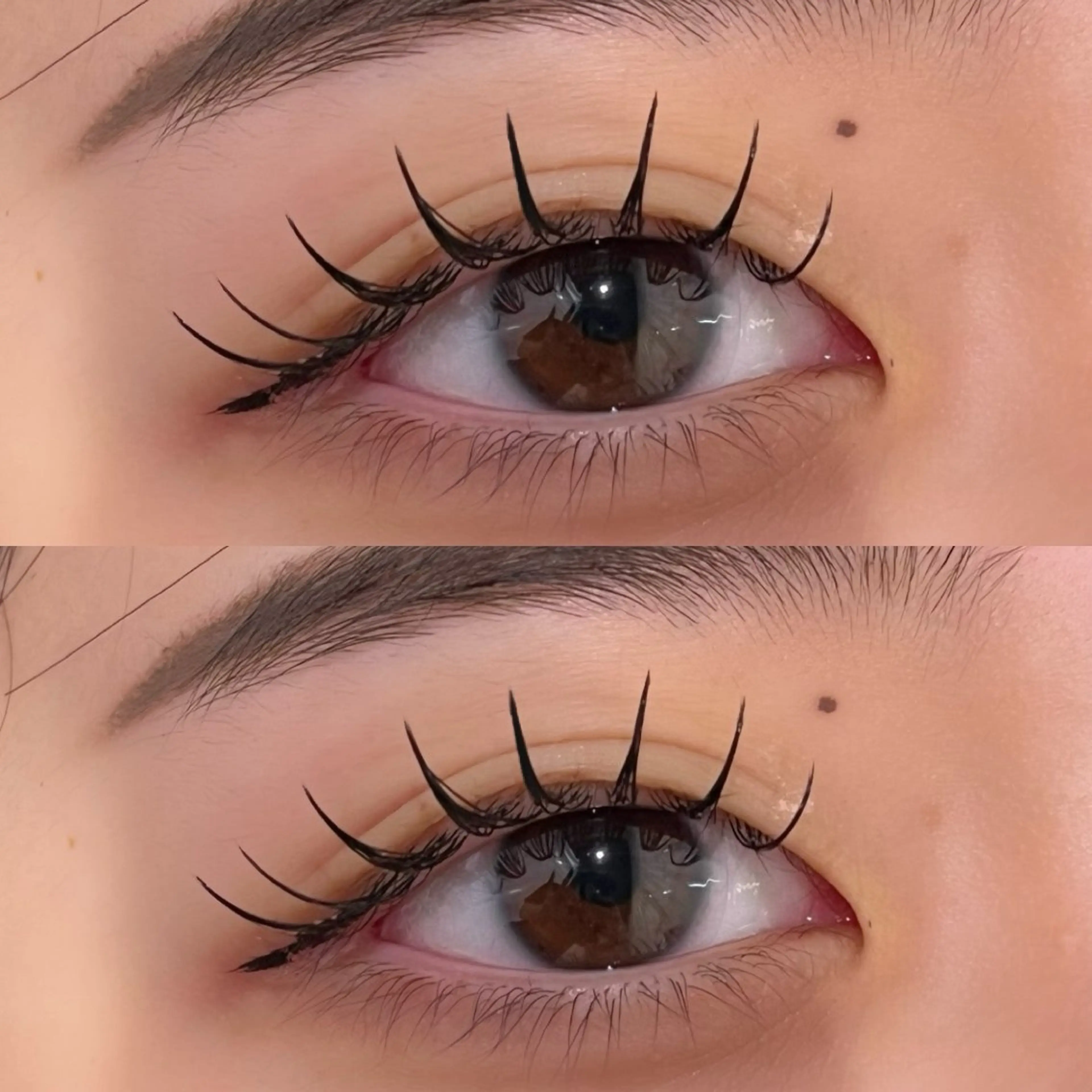 【←お写真撮らせて頂きます📸】LEDフラットラッシュ80~120本👀✨️(新規オフ+880円 再来550円)の写真