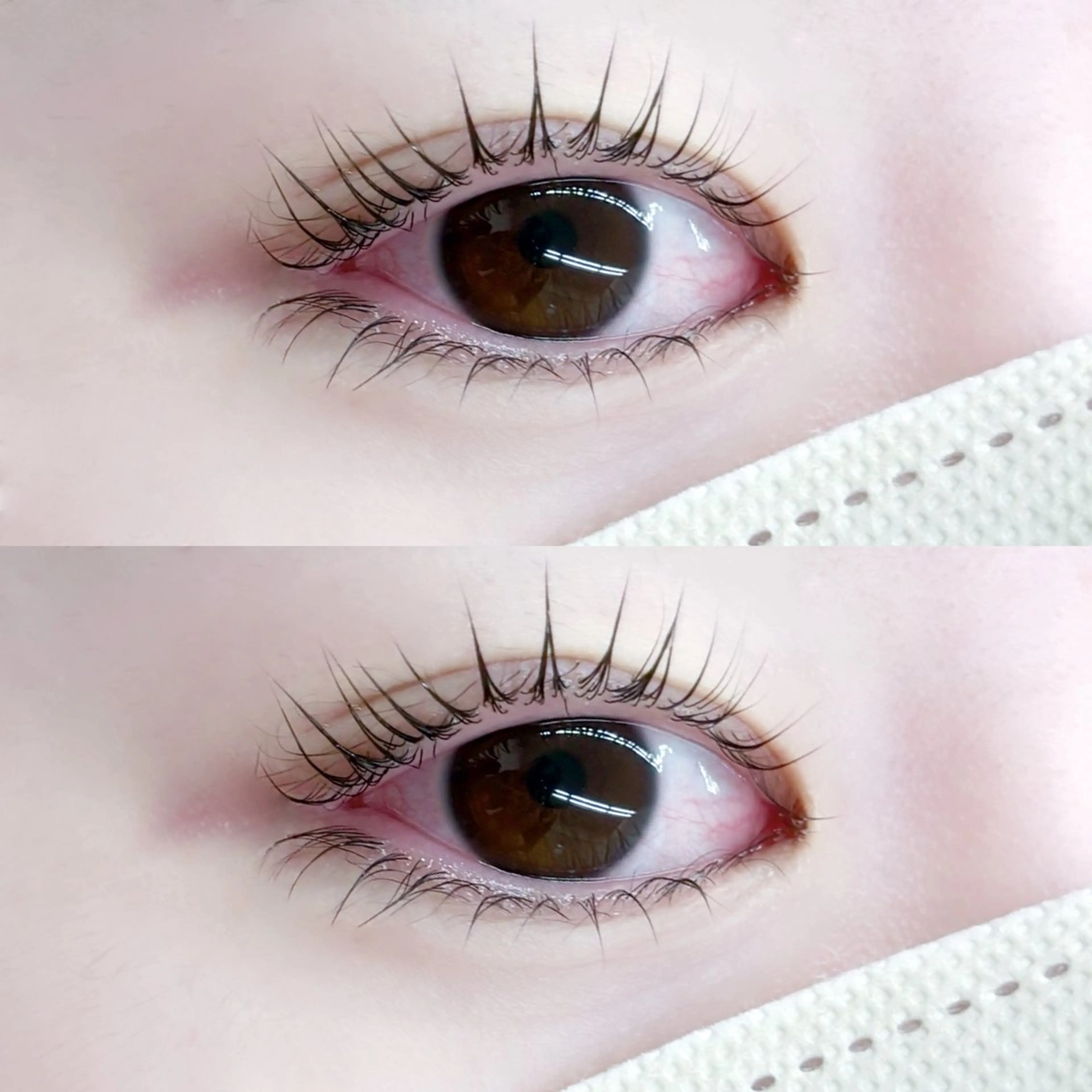 マツエク・マツパ TAKAHASHI 🎀✨韓国風/束感のマツエク・マツパデザイン