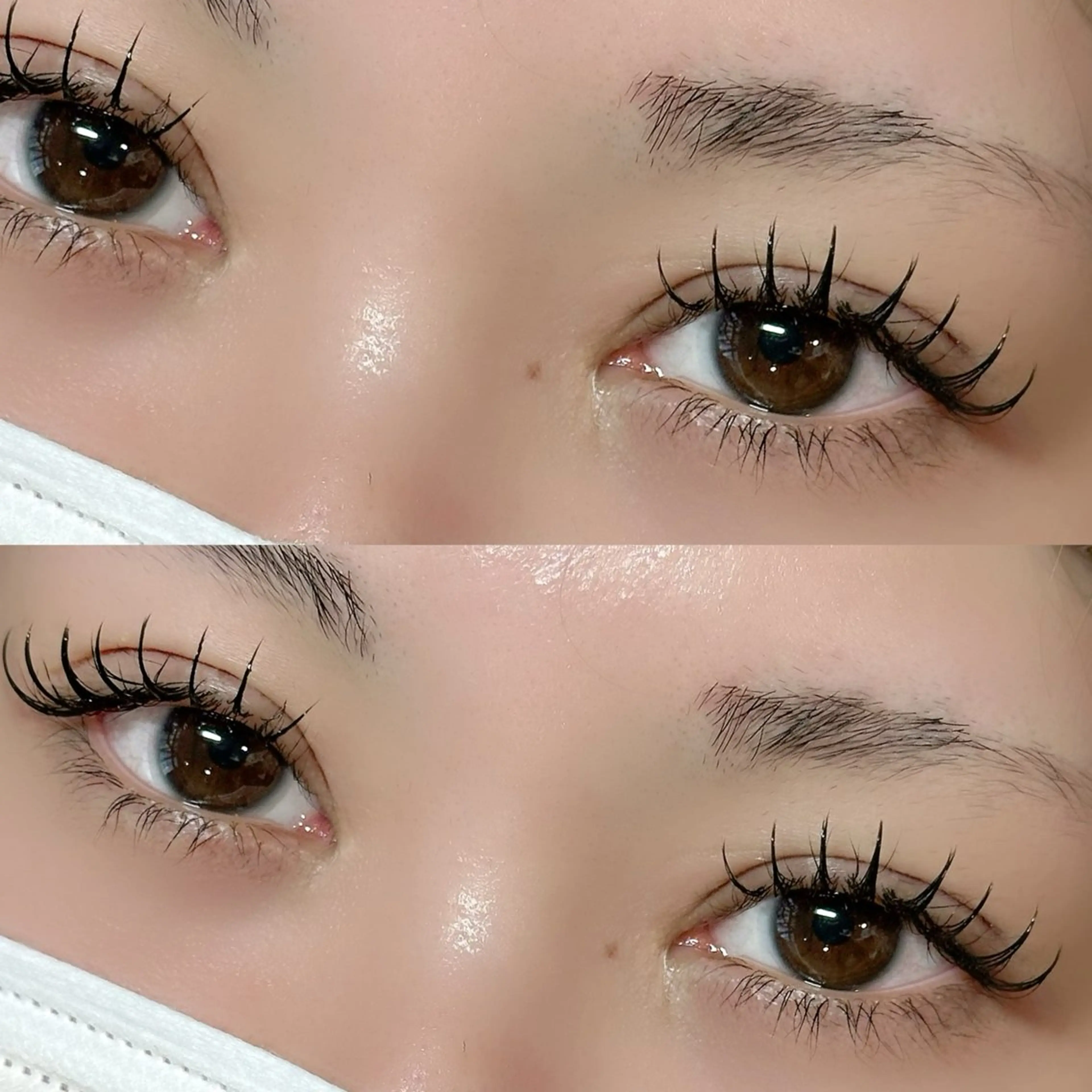 ✨️🌺LEDエクステ🌺✨️【120本】の写真