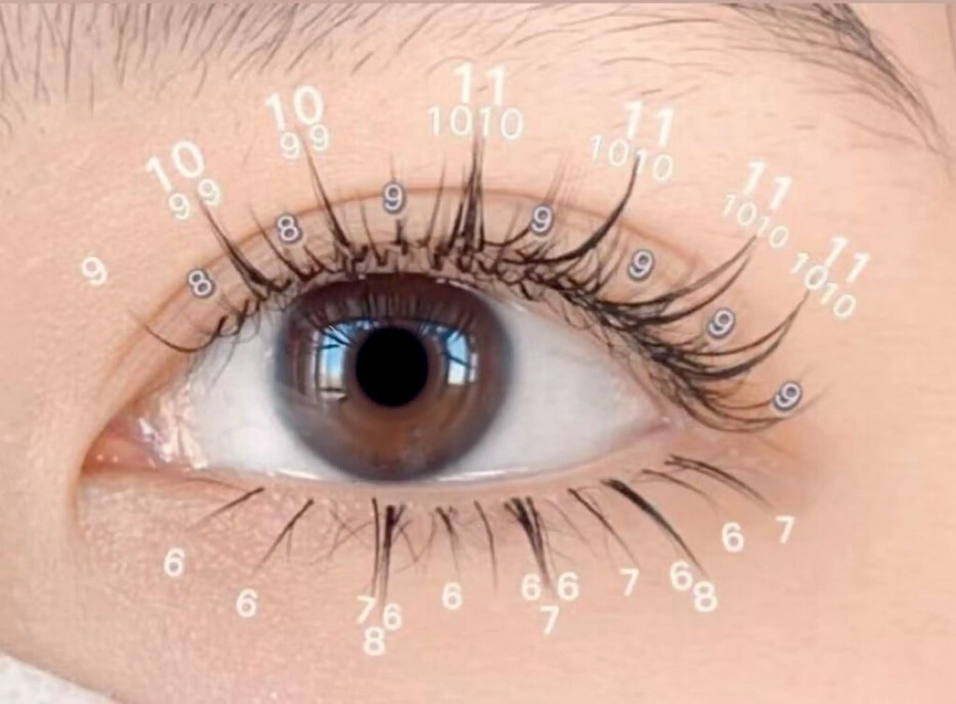 💕人気NO.1💕 【LED付き】フラットラッシュワンホン上120本＋下30本￥7500の写真