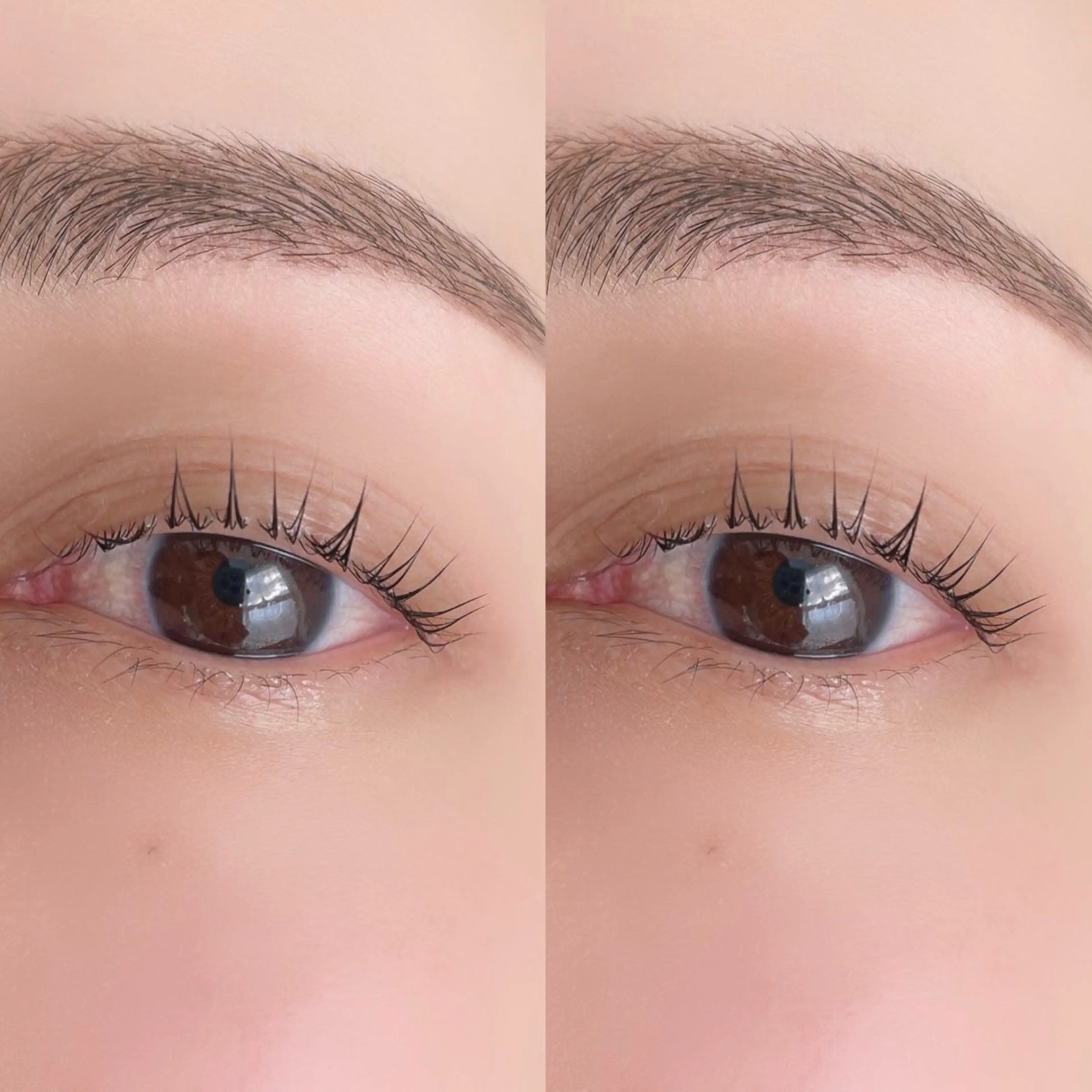 マツエク・マツパ 30分まつ毛パーマ Swallowのマツエク・マツパデザイン