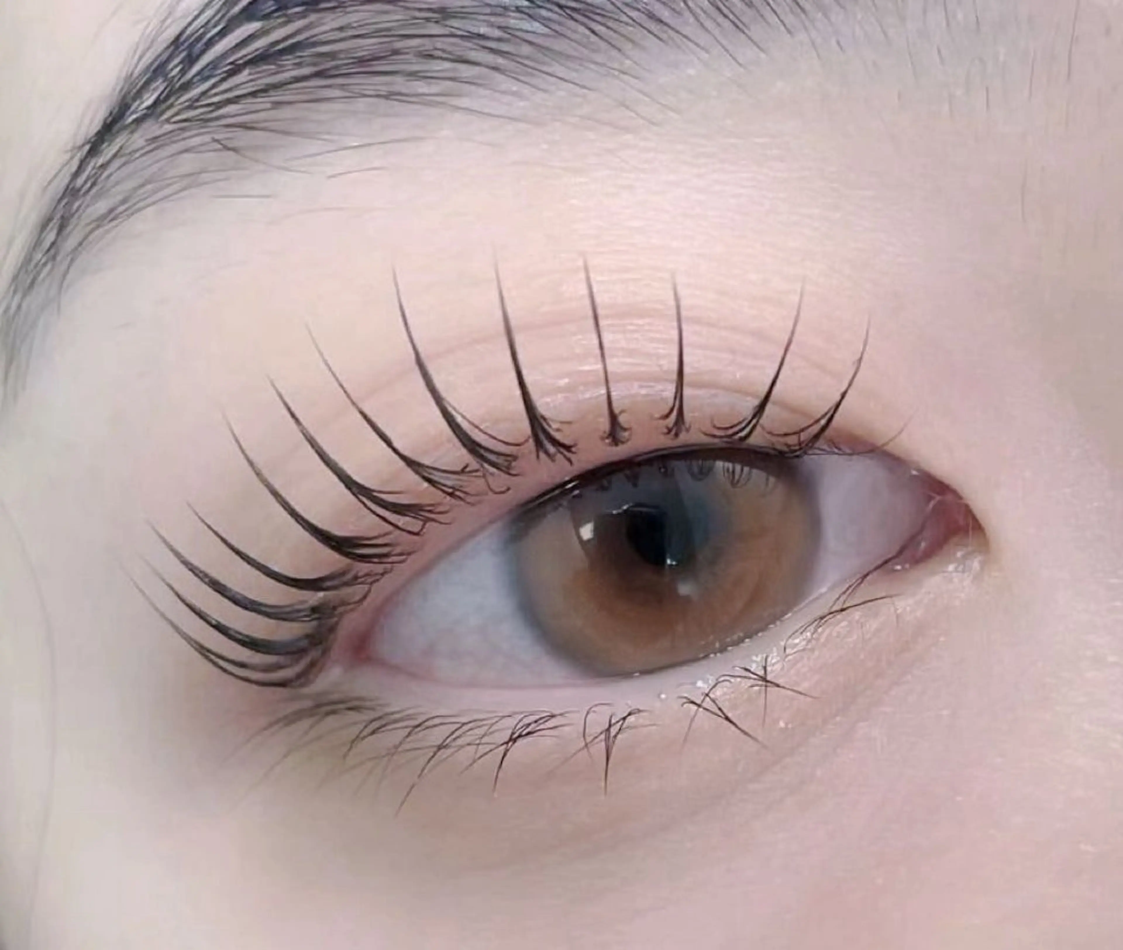 🖤🖤韓国人気🖤🖤🖤パリジェンヌラッシュリフト+ ブラックティント（コーティング美容液仕上げ🌟 上のみ）の写真