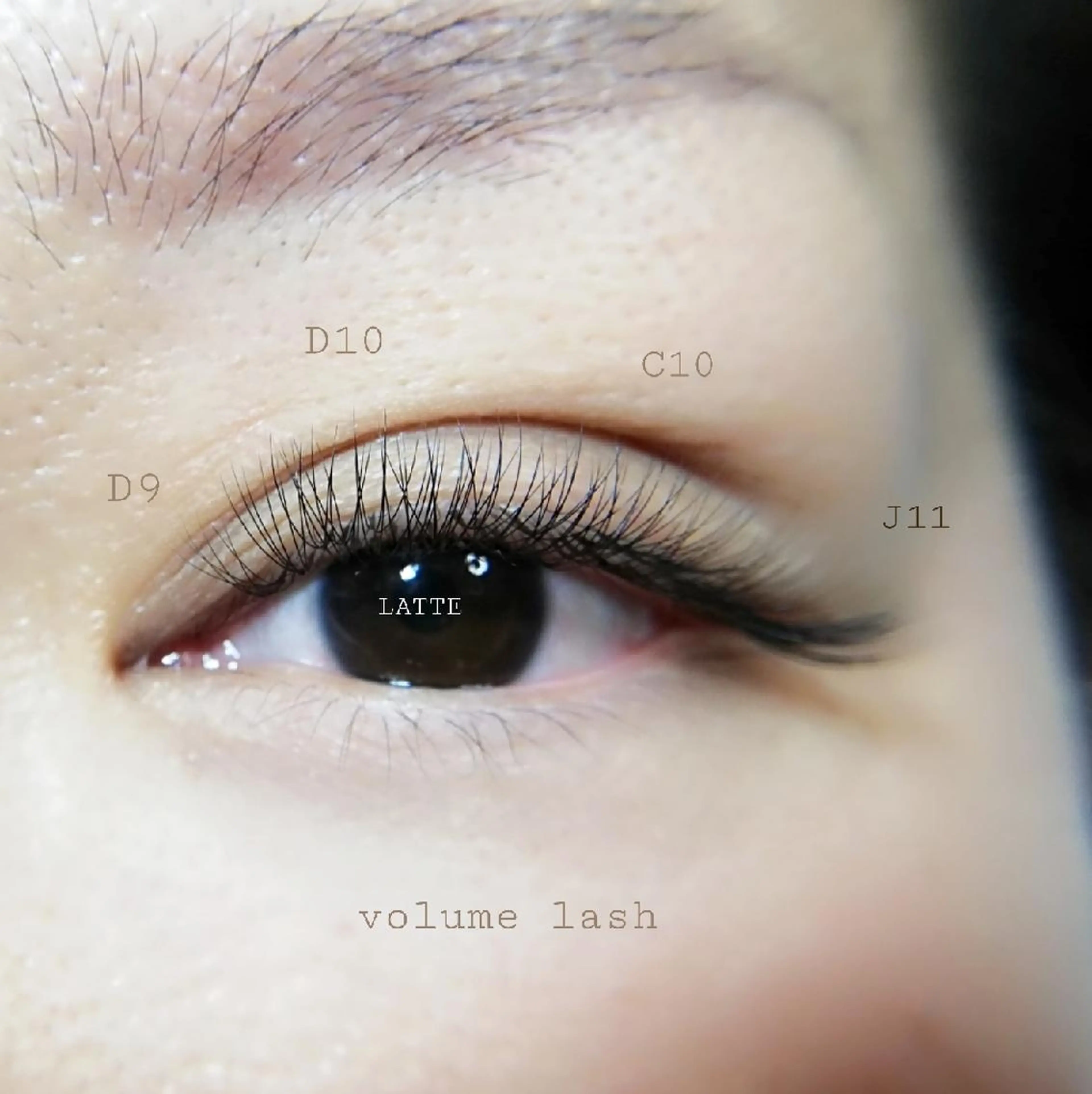マツエク・マツパ ボリュームラッシュ LATTE eyelashのマツエク・マツパデザイン