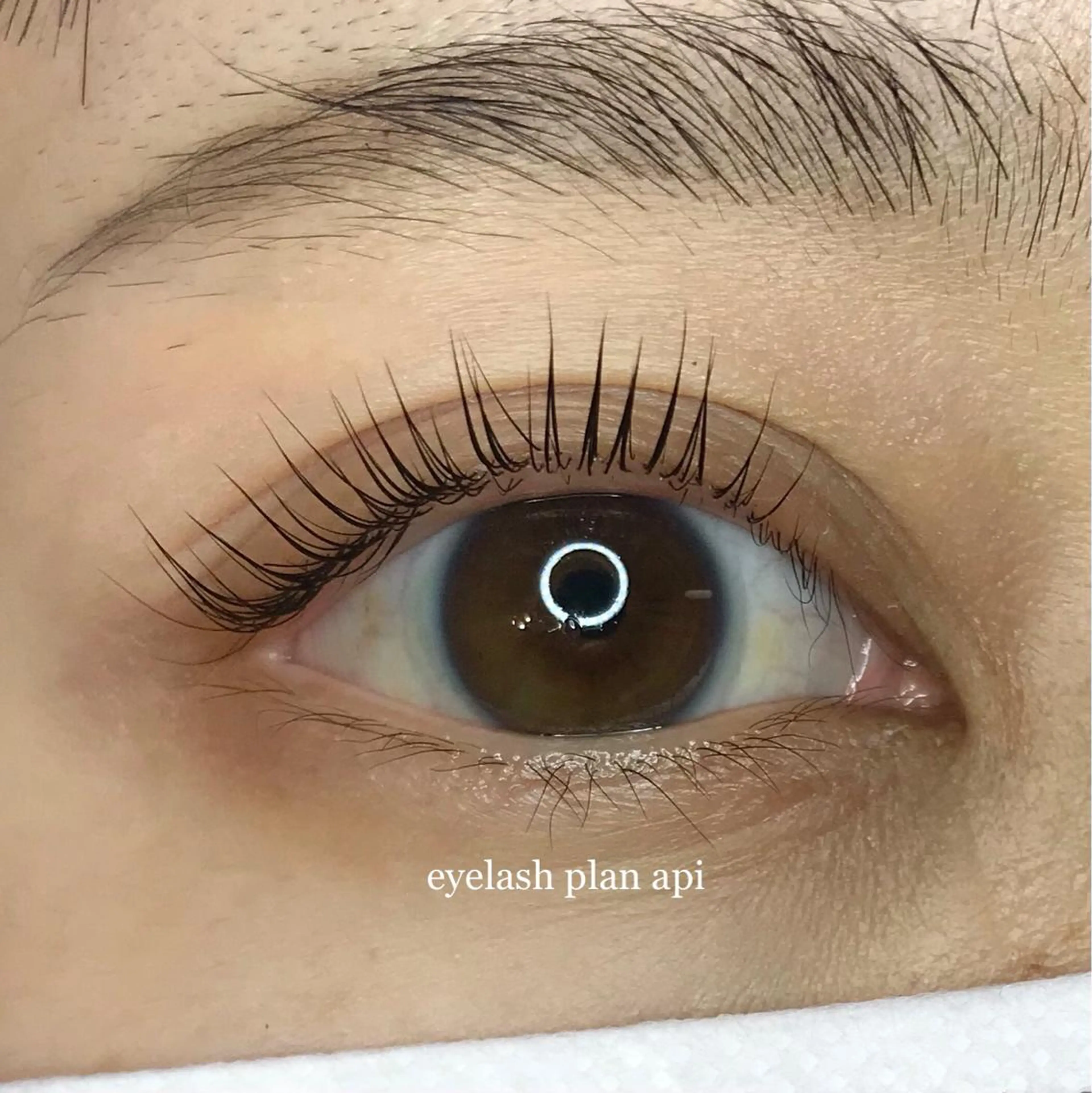 マツエク・マツパ 《eyelash ｉｉｔｅ》森のマツエク・マツパデザイン