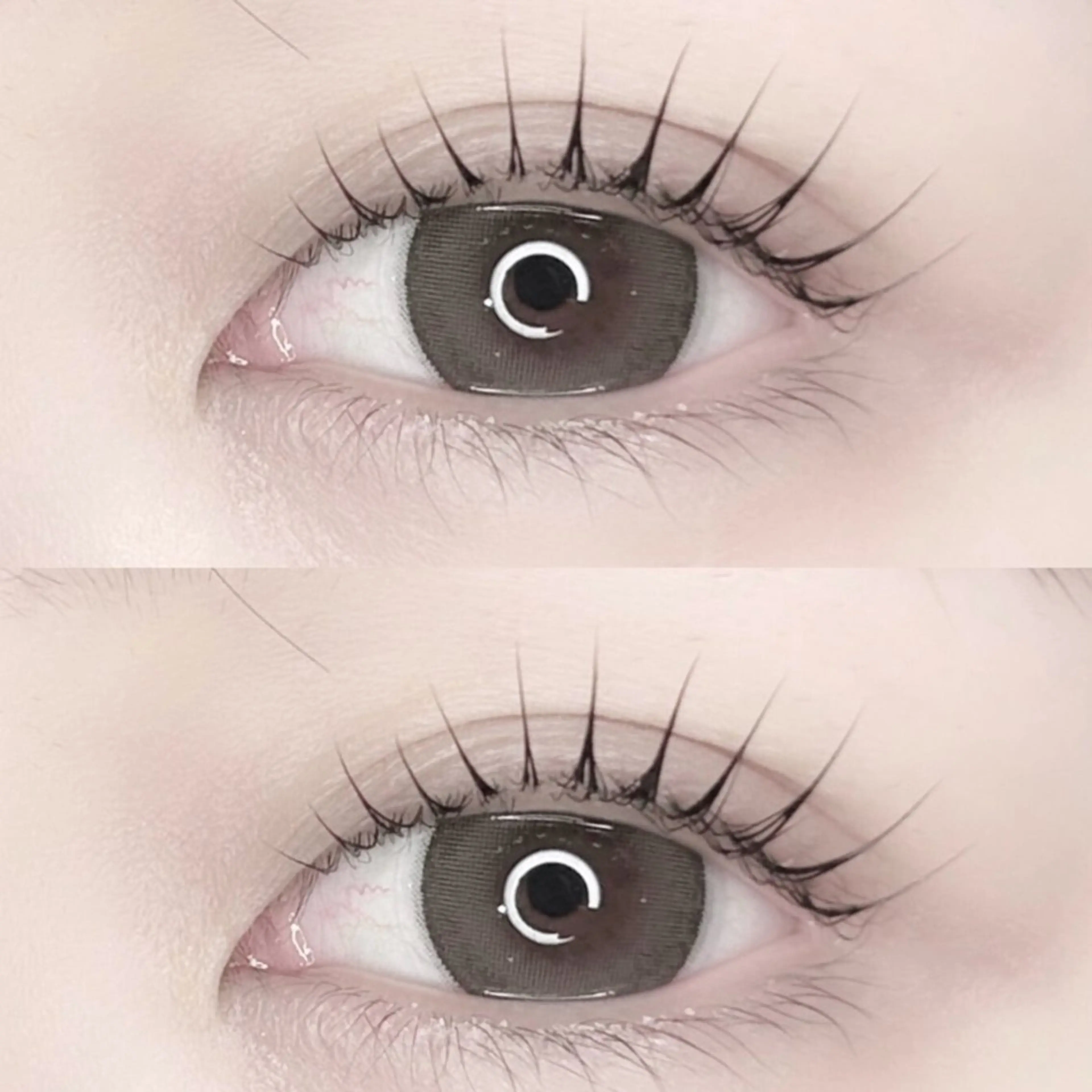 【💛4月17.18.19日限定モデル💛】まつげパーマ or パリジェンヌラッシュリフト✨の写真