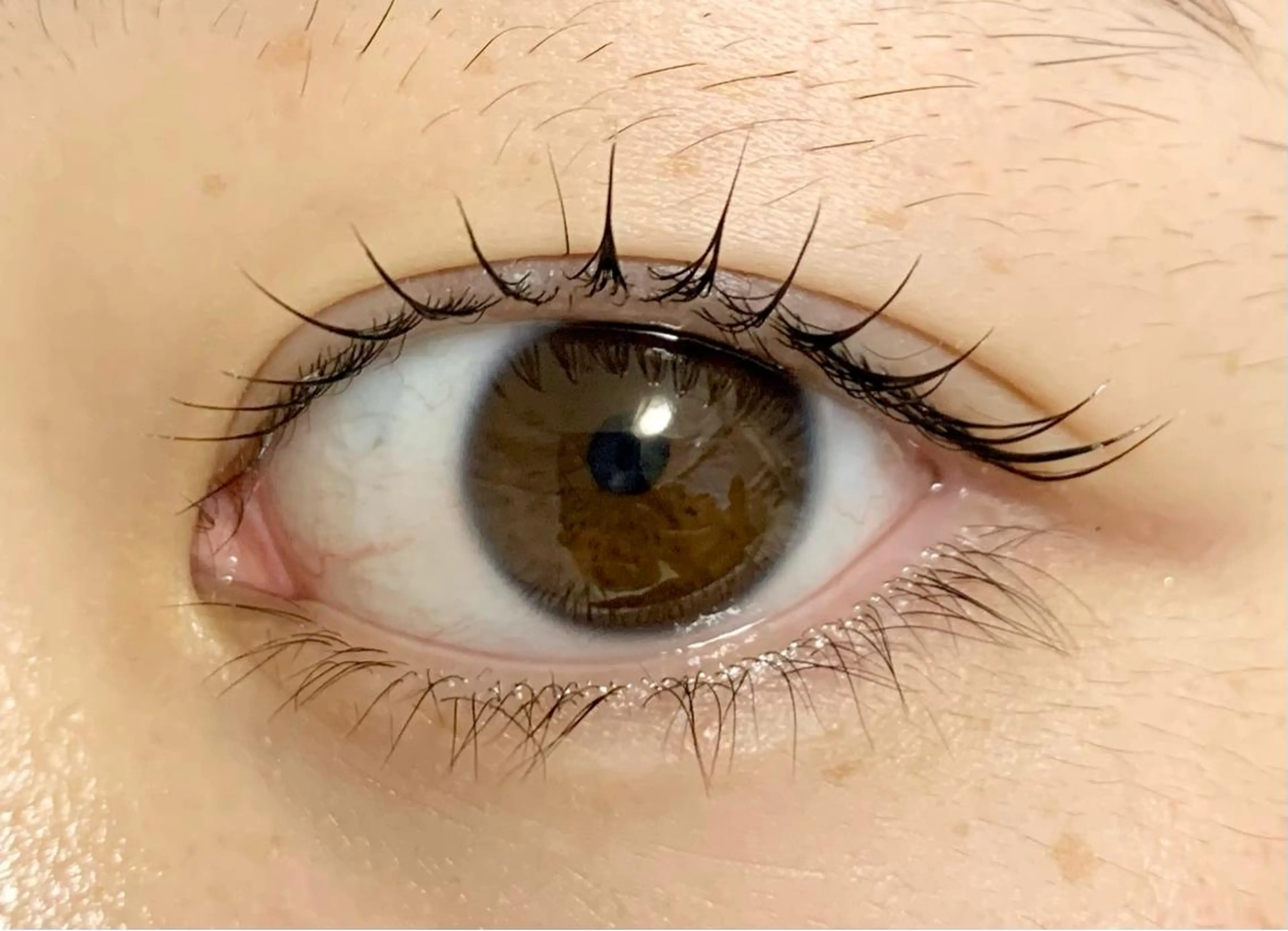 マツエク・マツパ サルサグレイス千葉店 塩井のマツエク・マツパデザイン