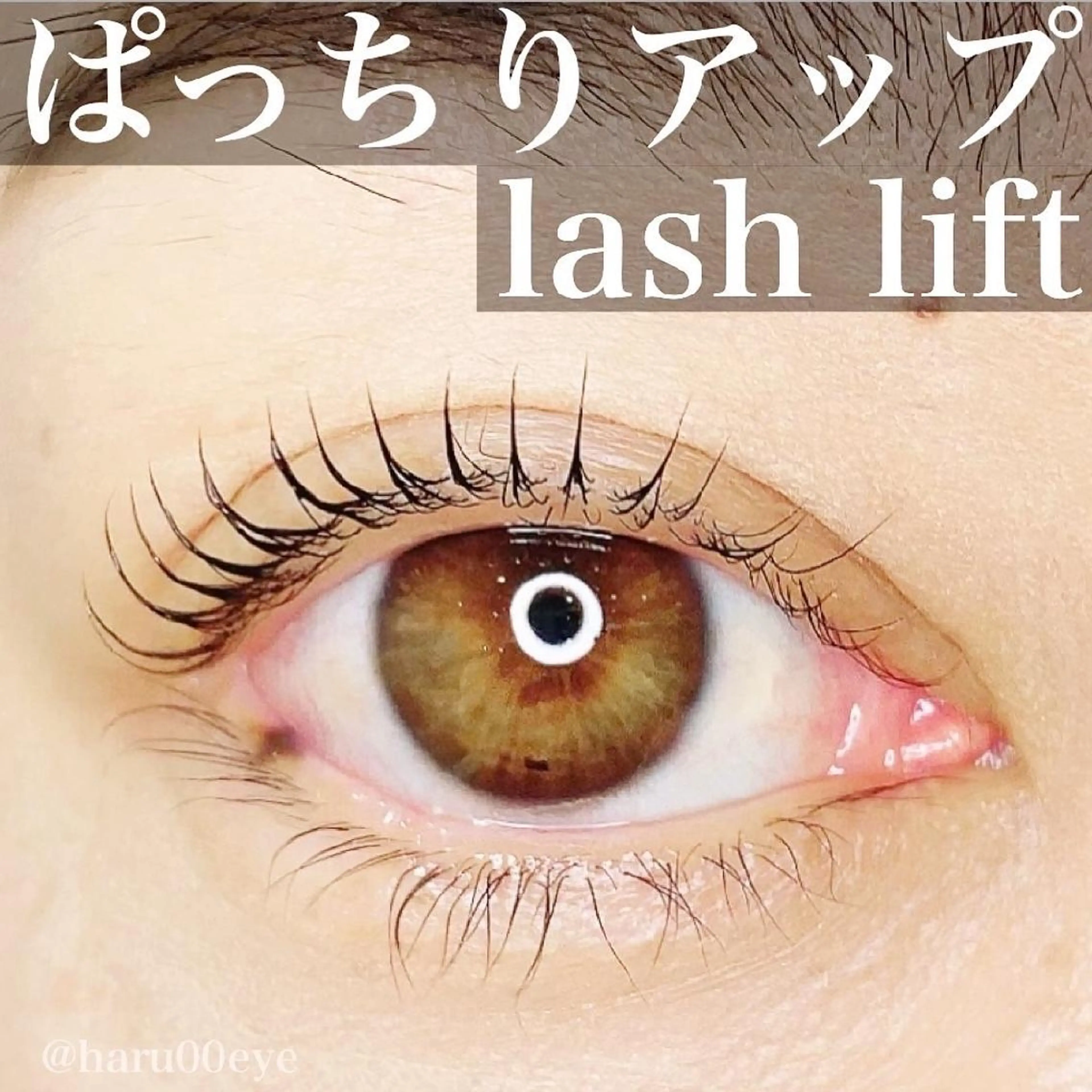 ダメージレスまつげパーマ(トリートメントコーティングシャンプー付)の写真