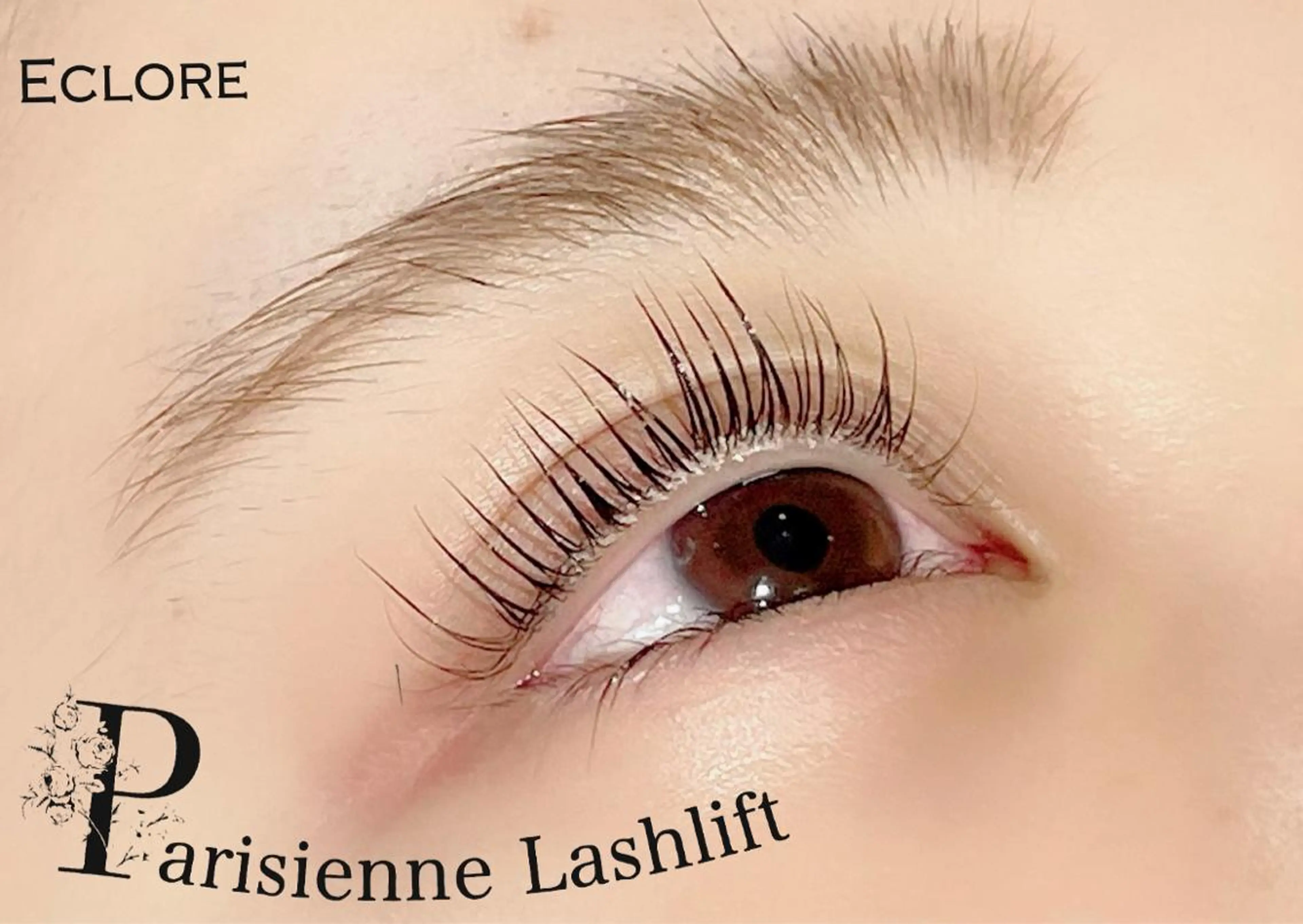 マツエク・マツパ パリジェンヌラッシュリフト ECLORE エクロールのマツエク・マツパデザイン