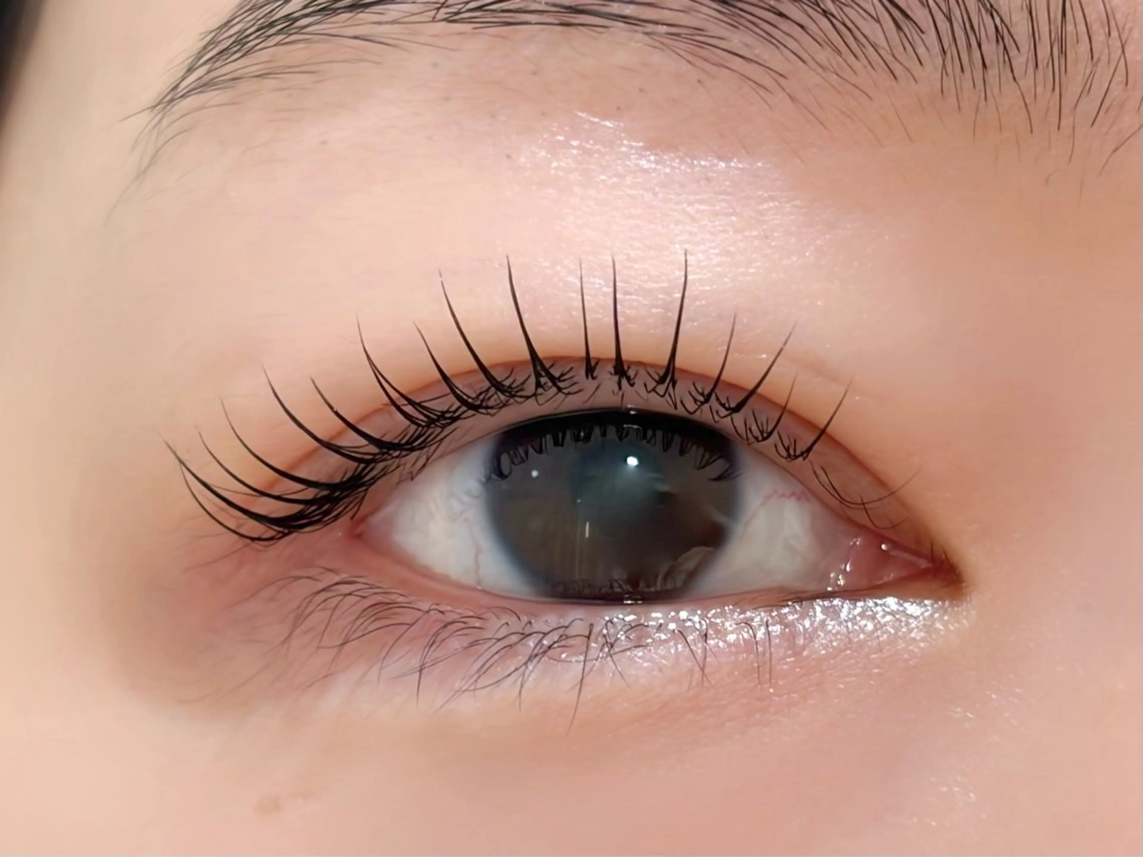 マツエク・マツパ フラットラッシュ/ LEDマツエク/石原のマツエク・マツパデザイン