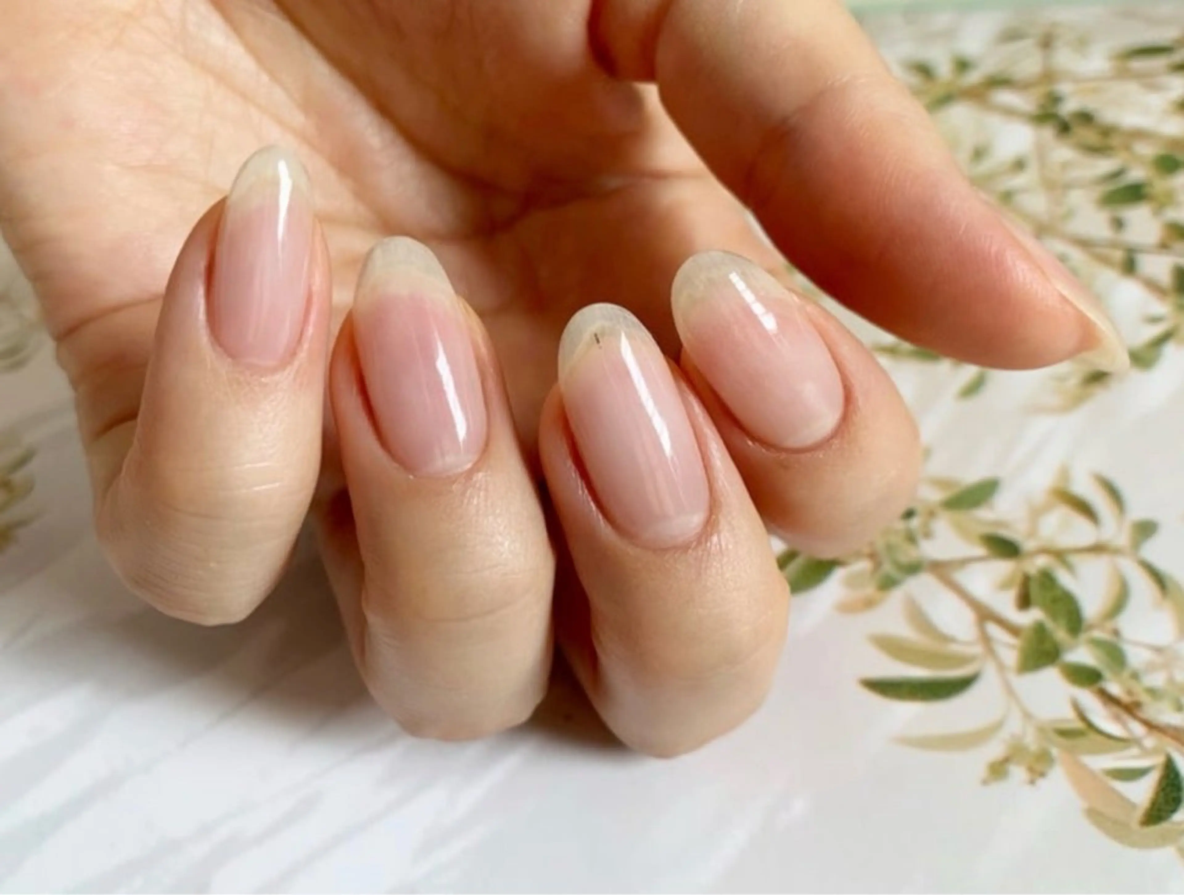 🤍オープン記念価格40％オフ❤️クリア ジェルワンカラー【オフなしの方】メンズ、チビ爪、噛み爪さん大歓迎の写真