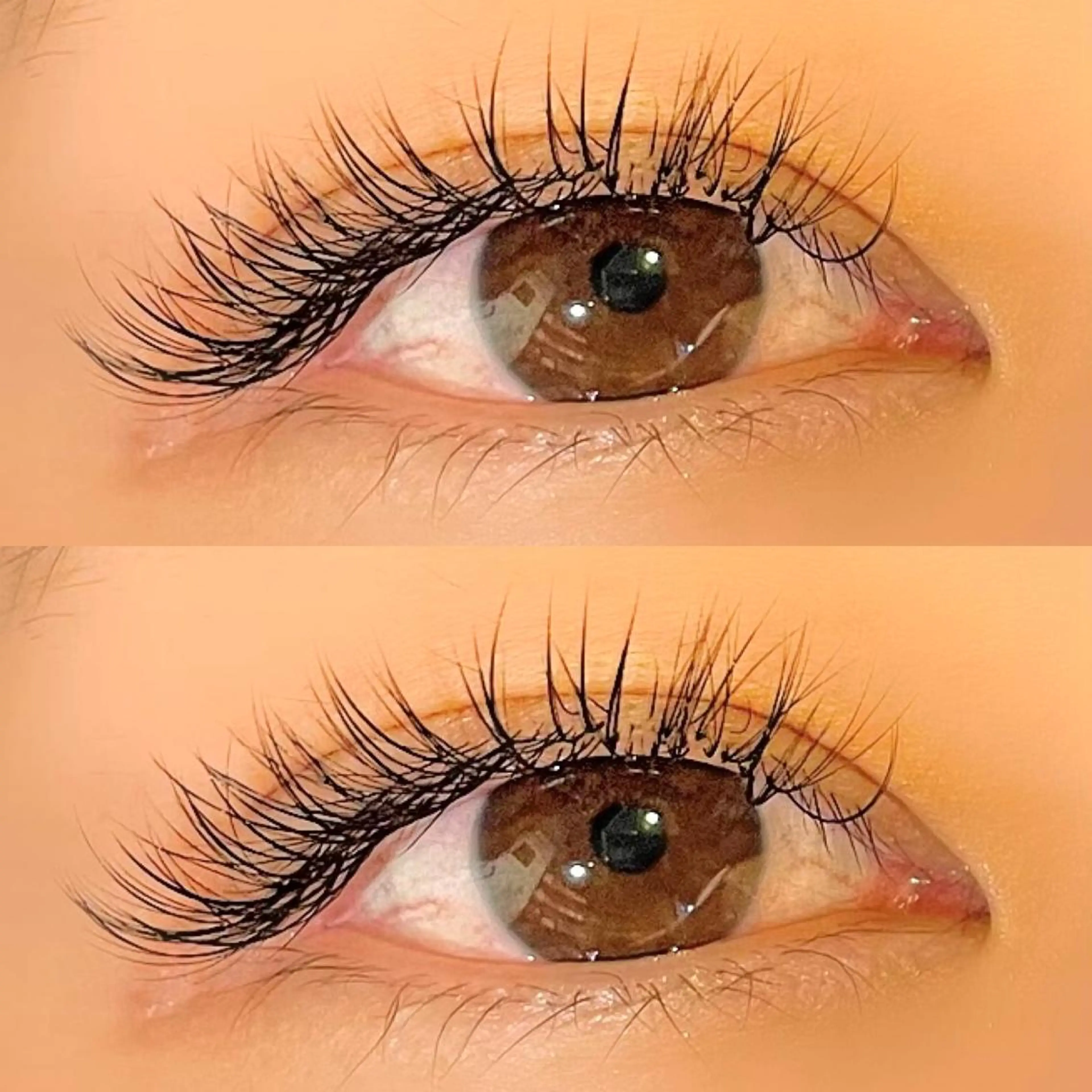 ボリュームラッシュ 【120束】🌹の写真