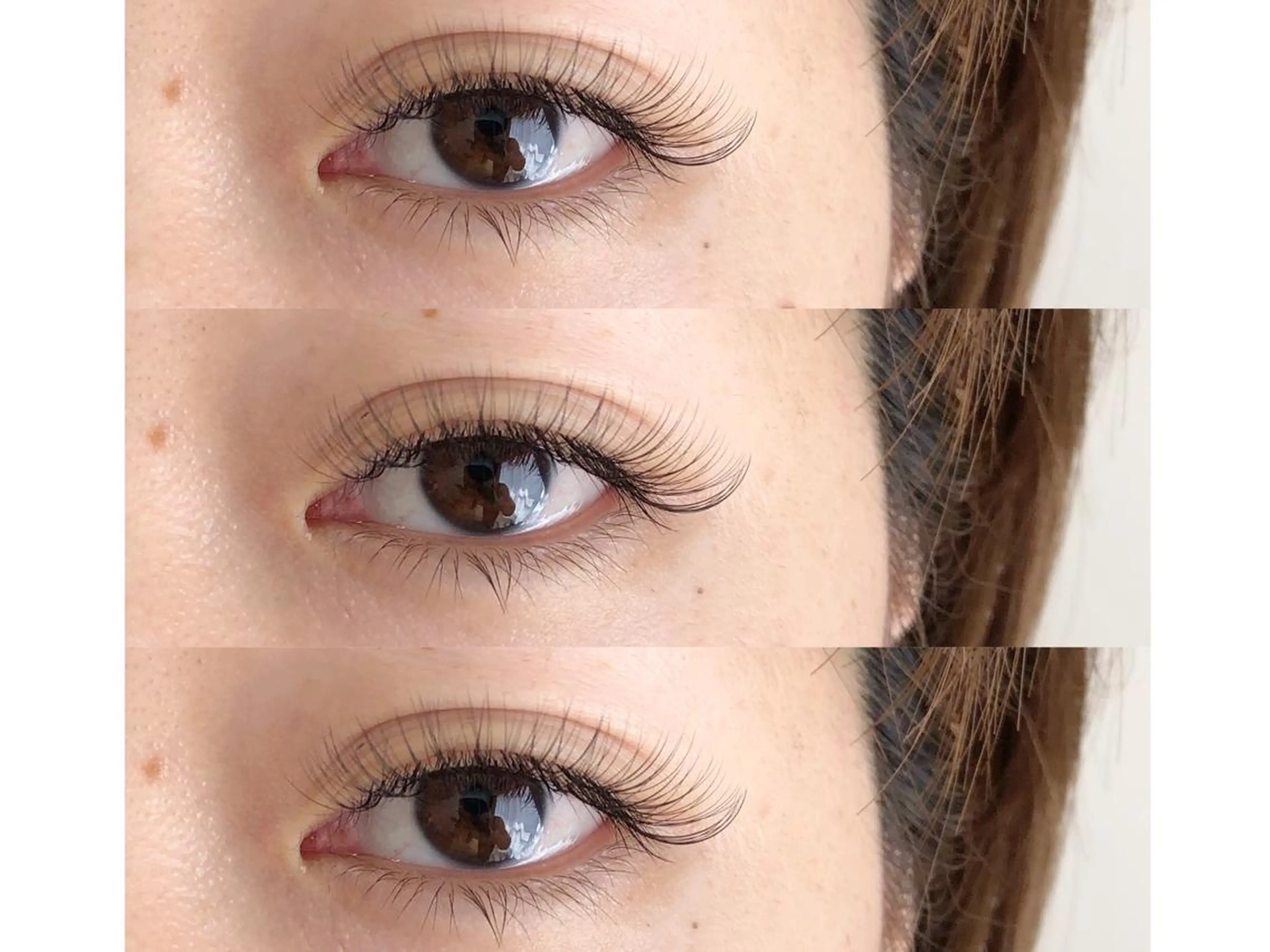 【4月17.18日限定】高級フラットブラウンカラー100本の写真