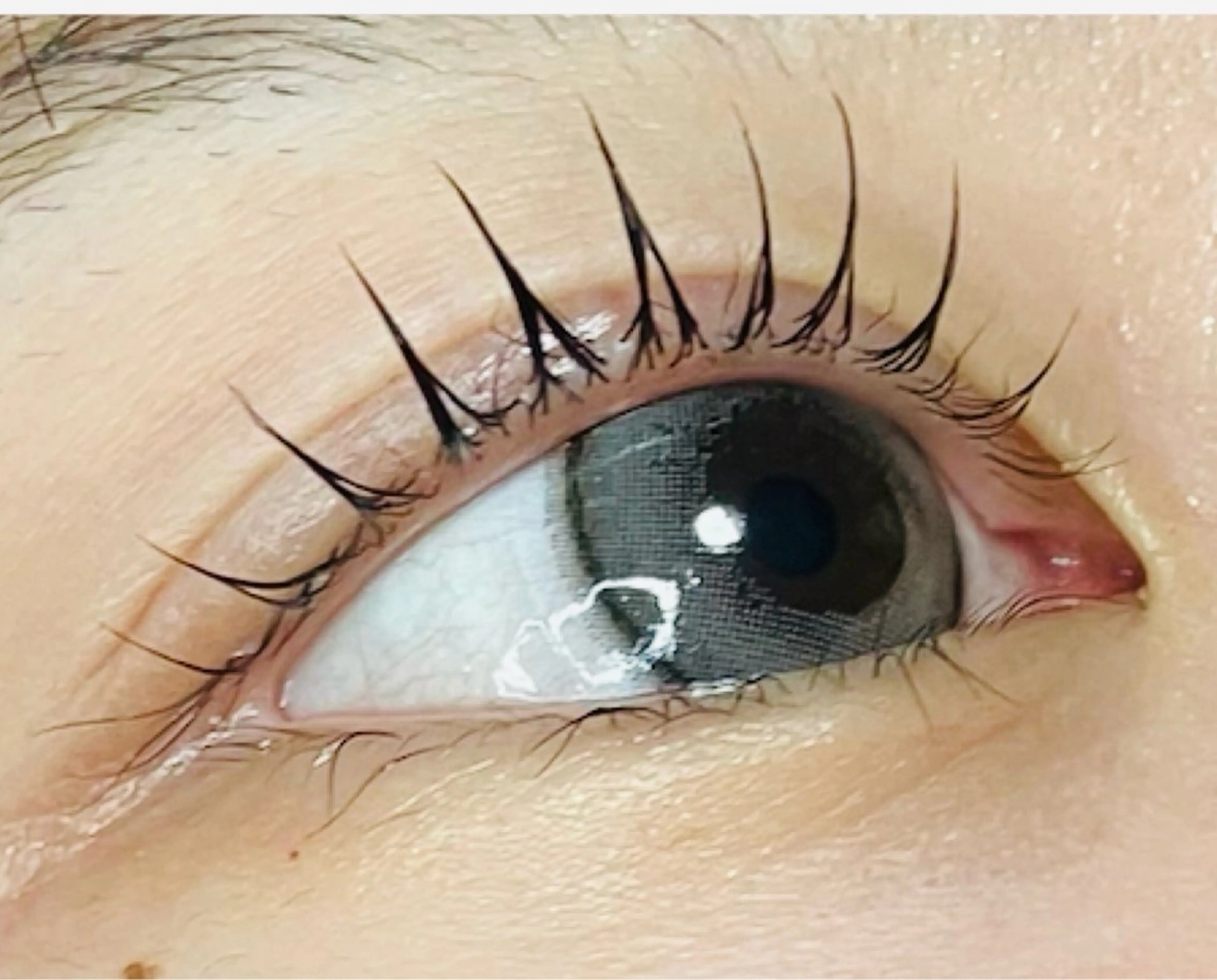 4D-flow【ダメージレスまつ毛パーマ】W還元/トリートメント付き¥6,600→¥5,500の写真