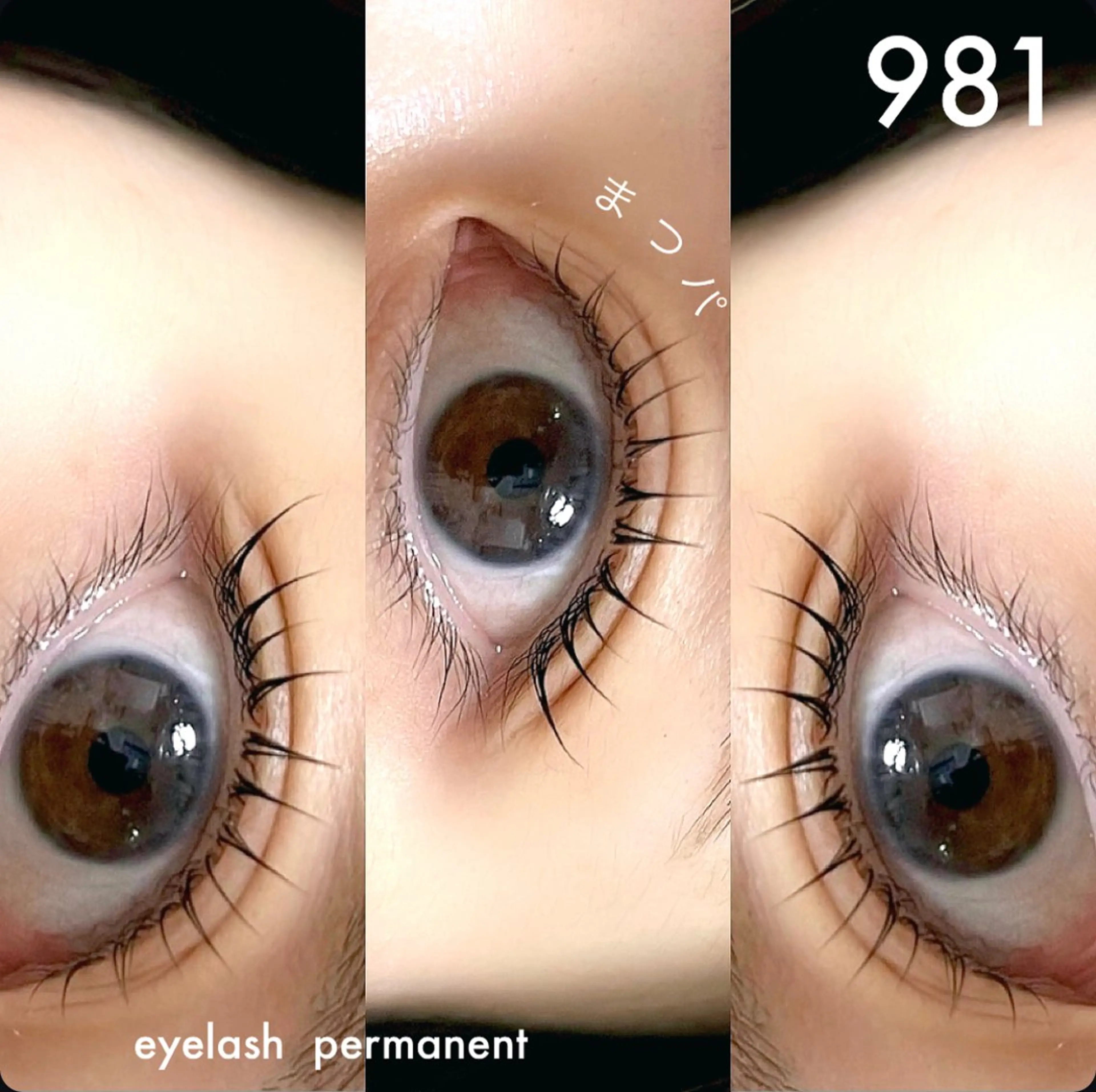 マツエク・マツパ 981 KURUMIのマツエク・マツパデザイン