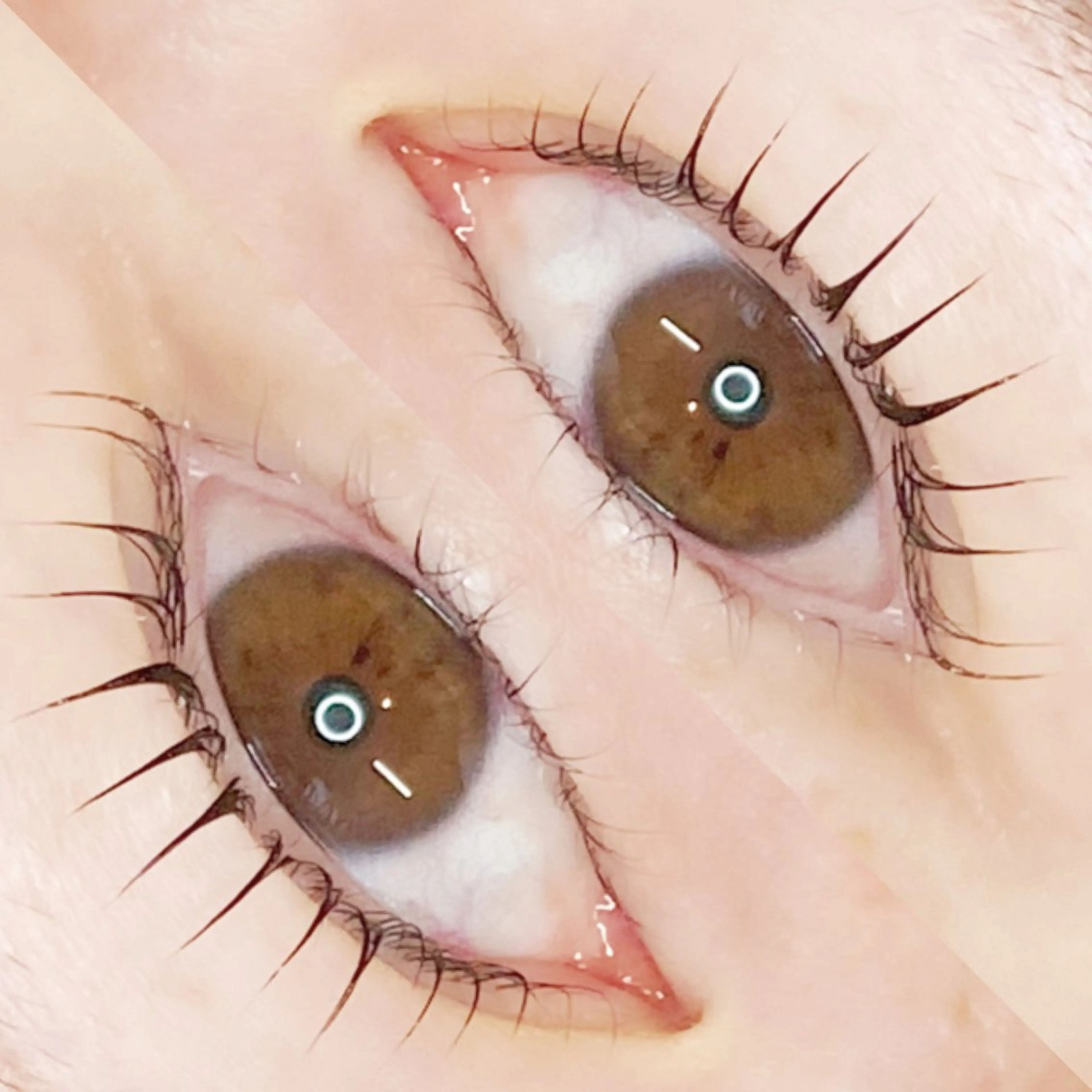 マツエク・マツパ io .のマツエク・マツパデザイン