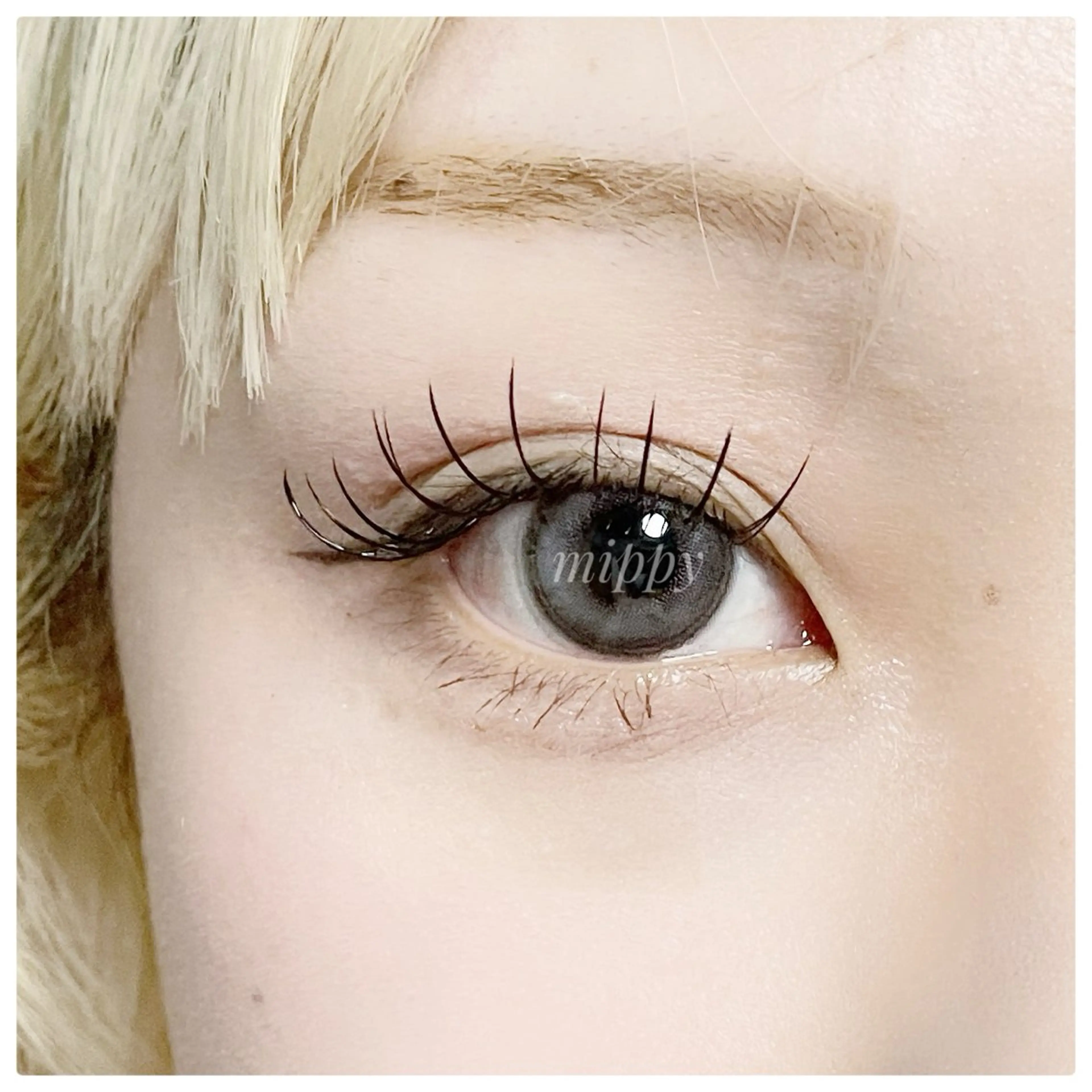 マツエク・マツパ ｍｉｐｐｙ 🪽のマツエク・マツパデザイン