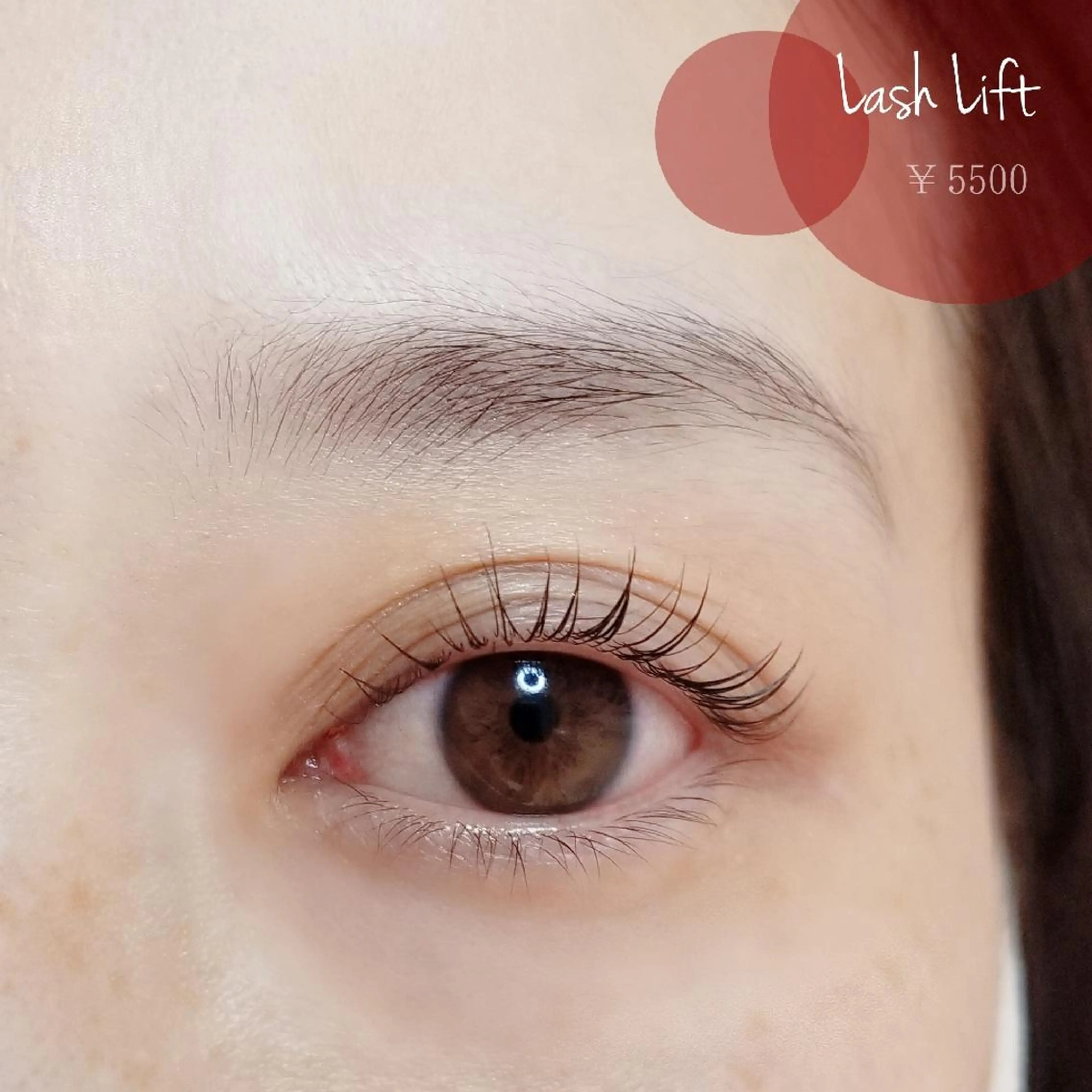 マツエク・マツパ Frau フラウ💐のマツエク・マツパデザイン