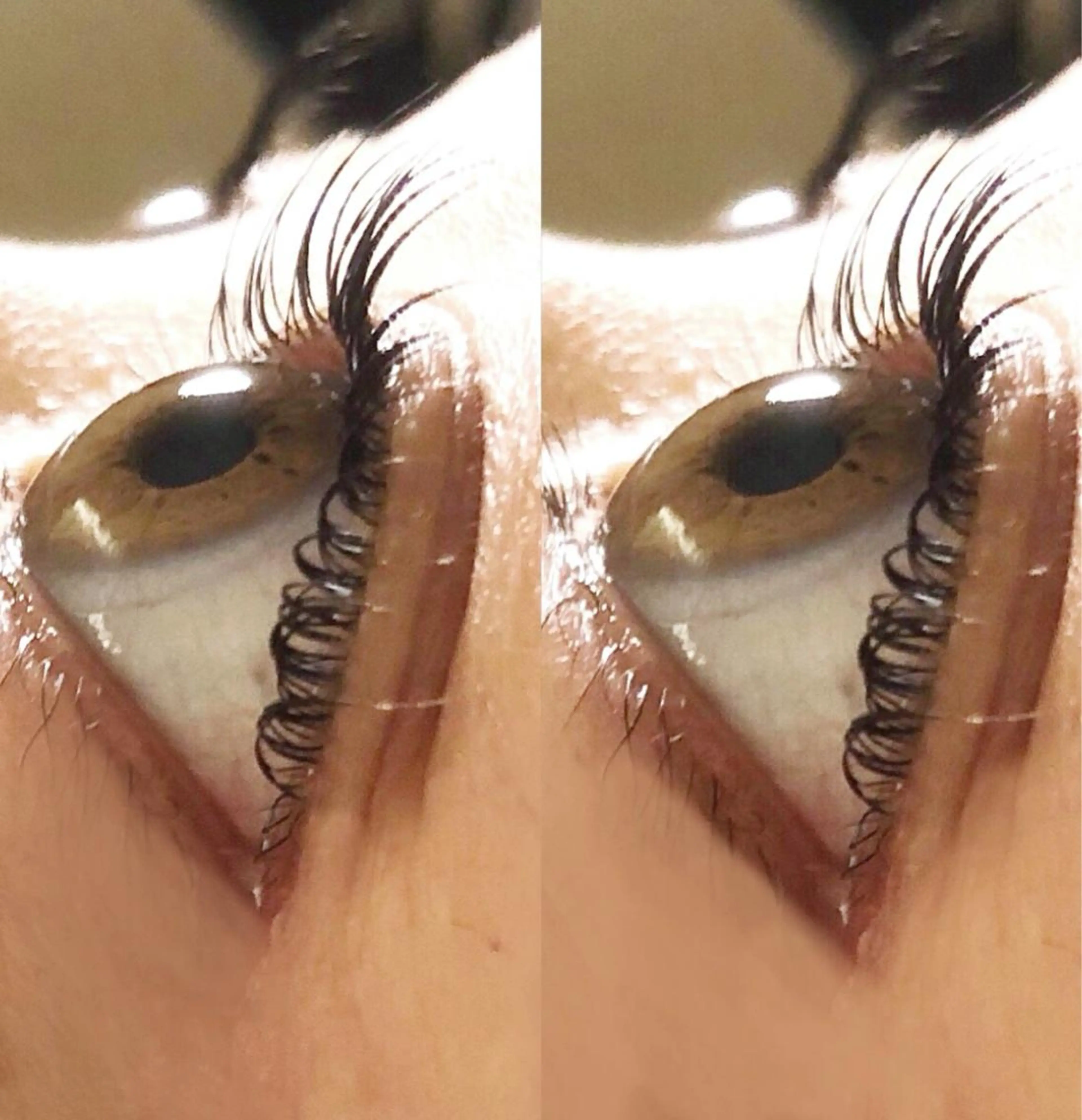 マツエク・マツパ BIS 秋山のマツエク・マツパデザイン