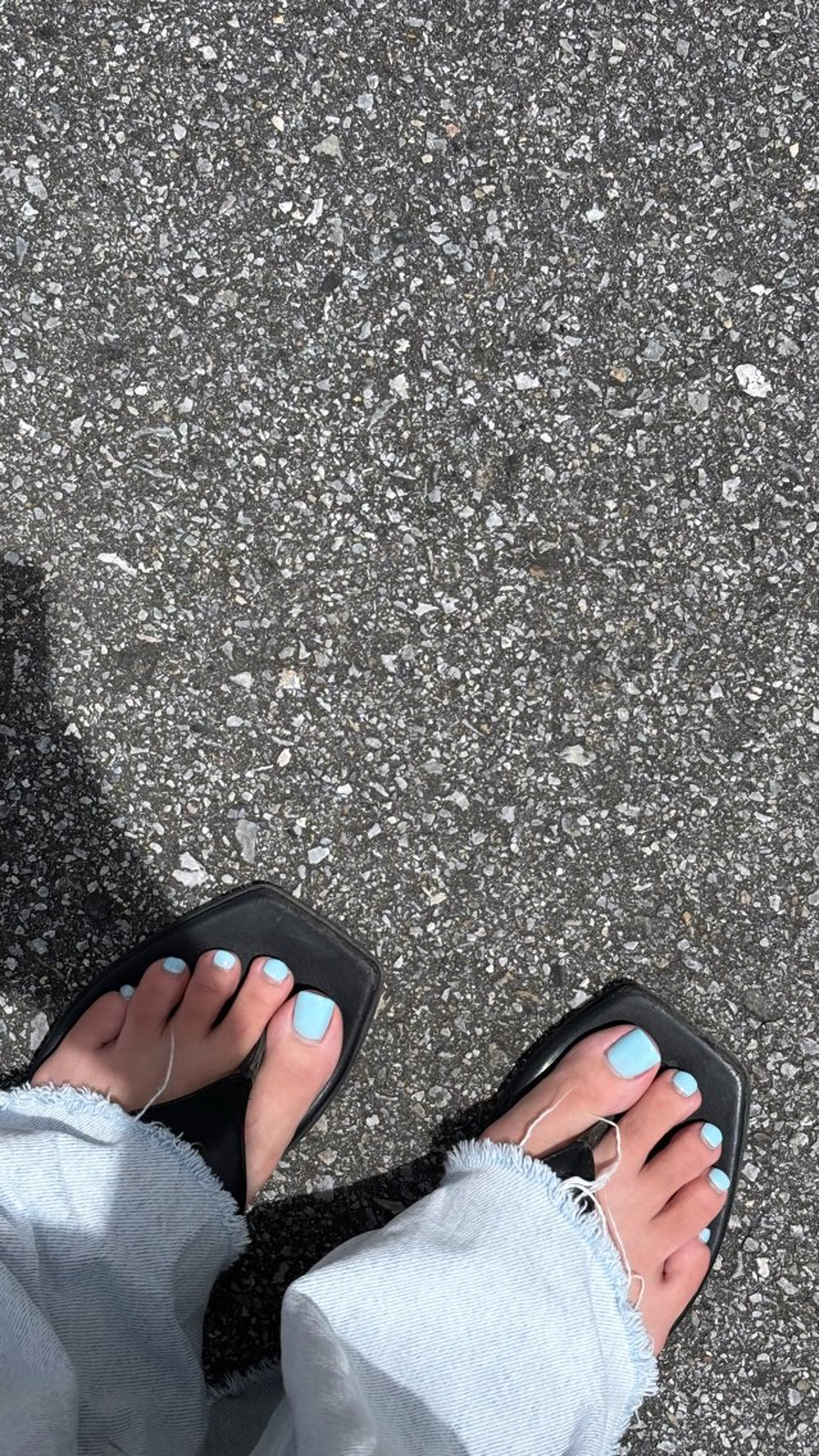 ワンカラーの写真