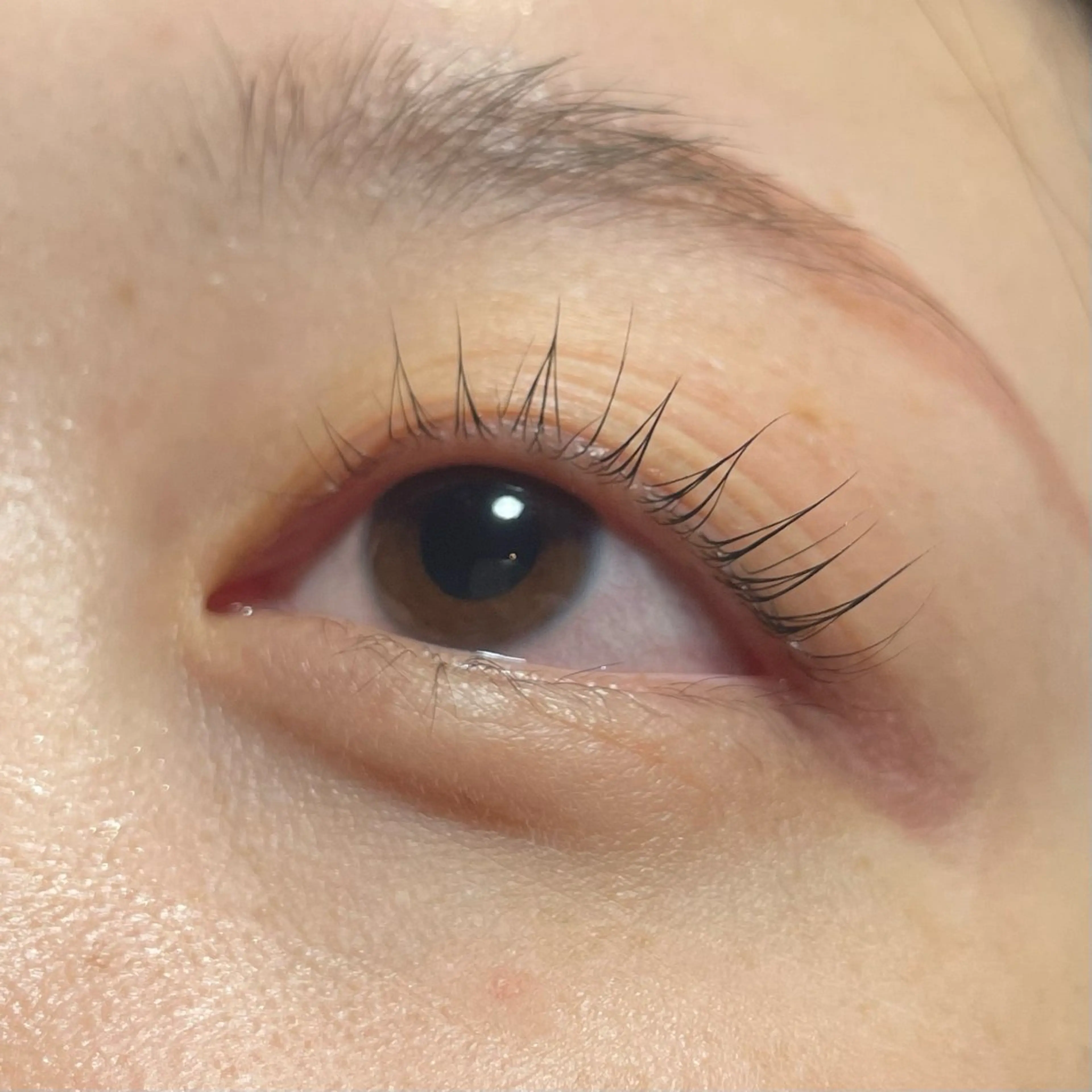 マツエク・マツパ 神植 晴のマツエク・マツパデザイン