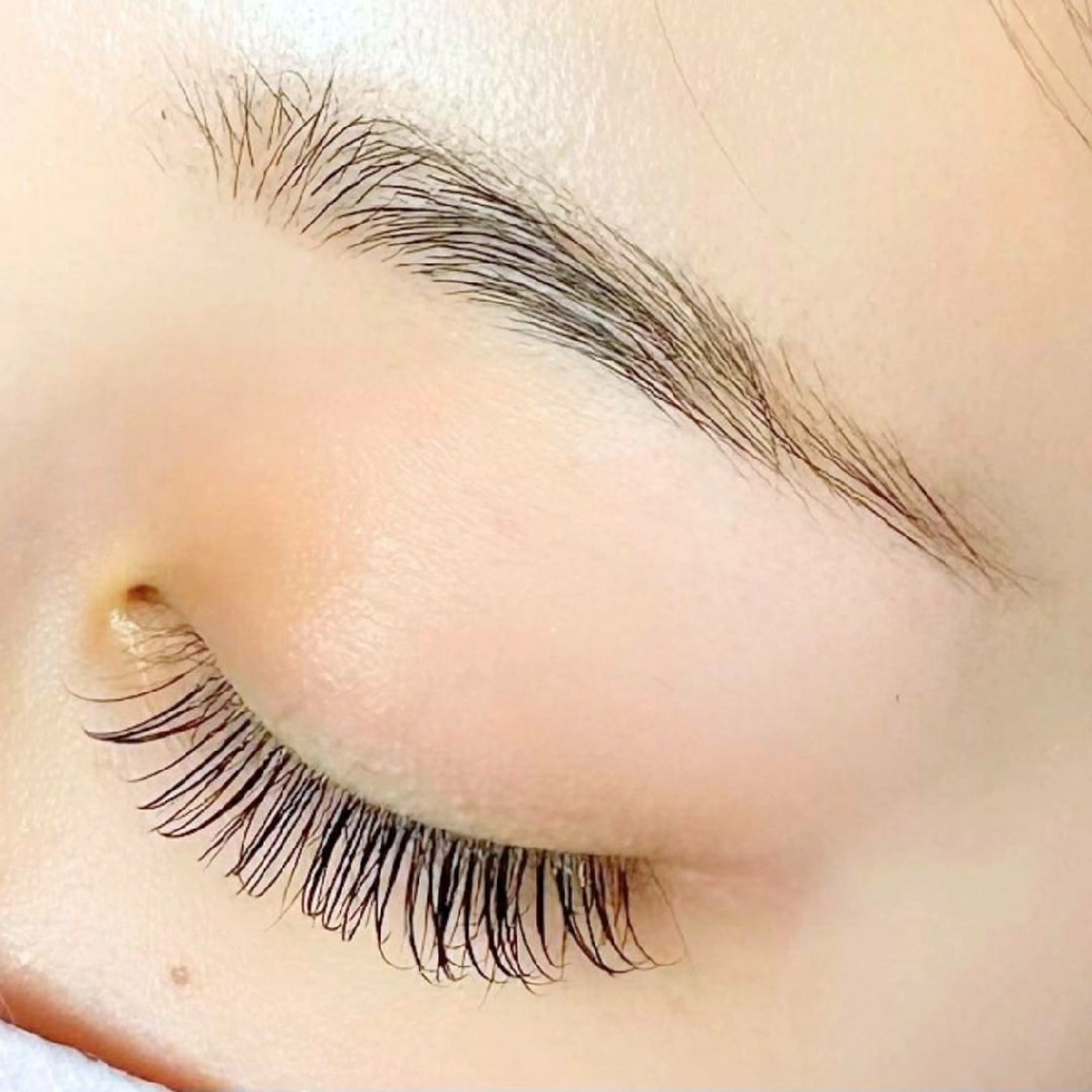 アイブロウ ワックス脱毛 その他(アイブロウ) Dealo 京橋店のマツエク・マツパデザイン