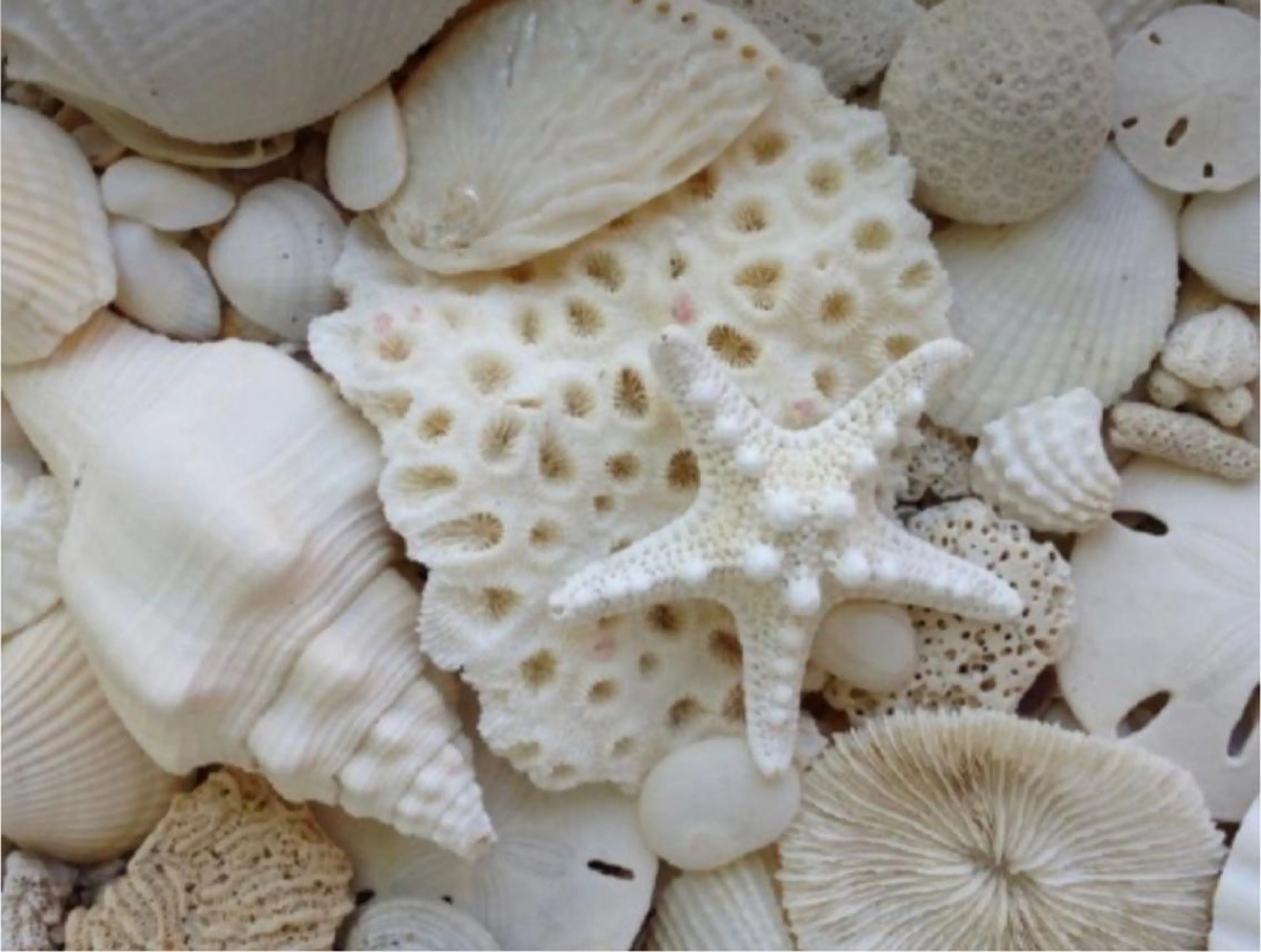 🫧縮毛矯正／カラー ／bless松浦🫧のヘアスタイル