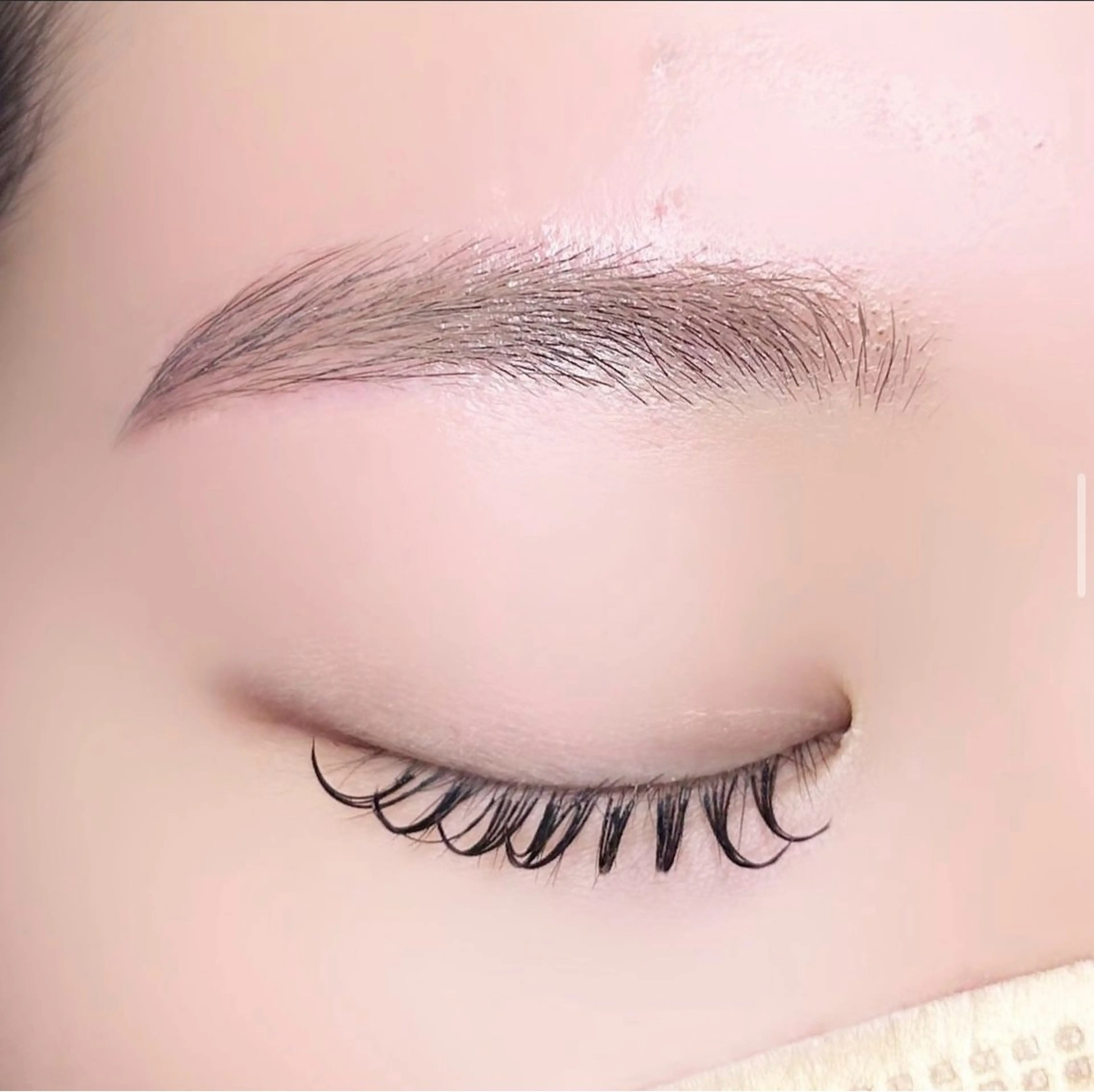 🌸モデル募集中🌸マツエク100本👀の写真