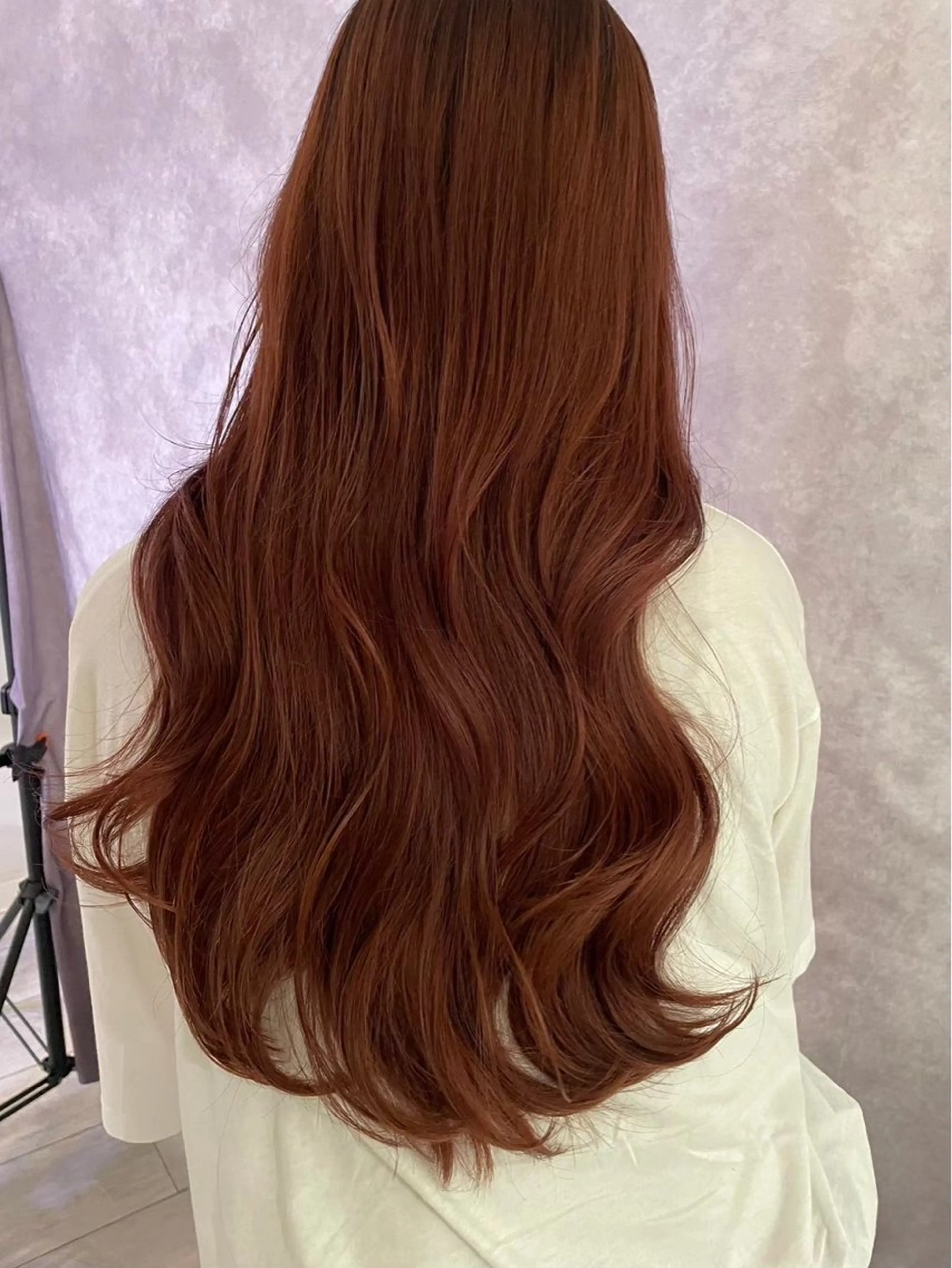 カラー モリシタ チョウのヘアスタイル