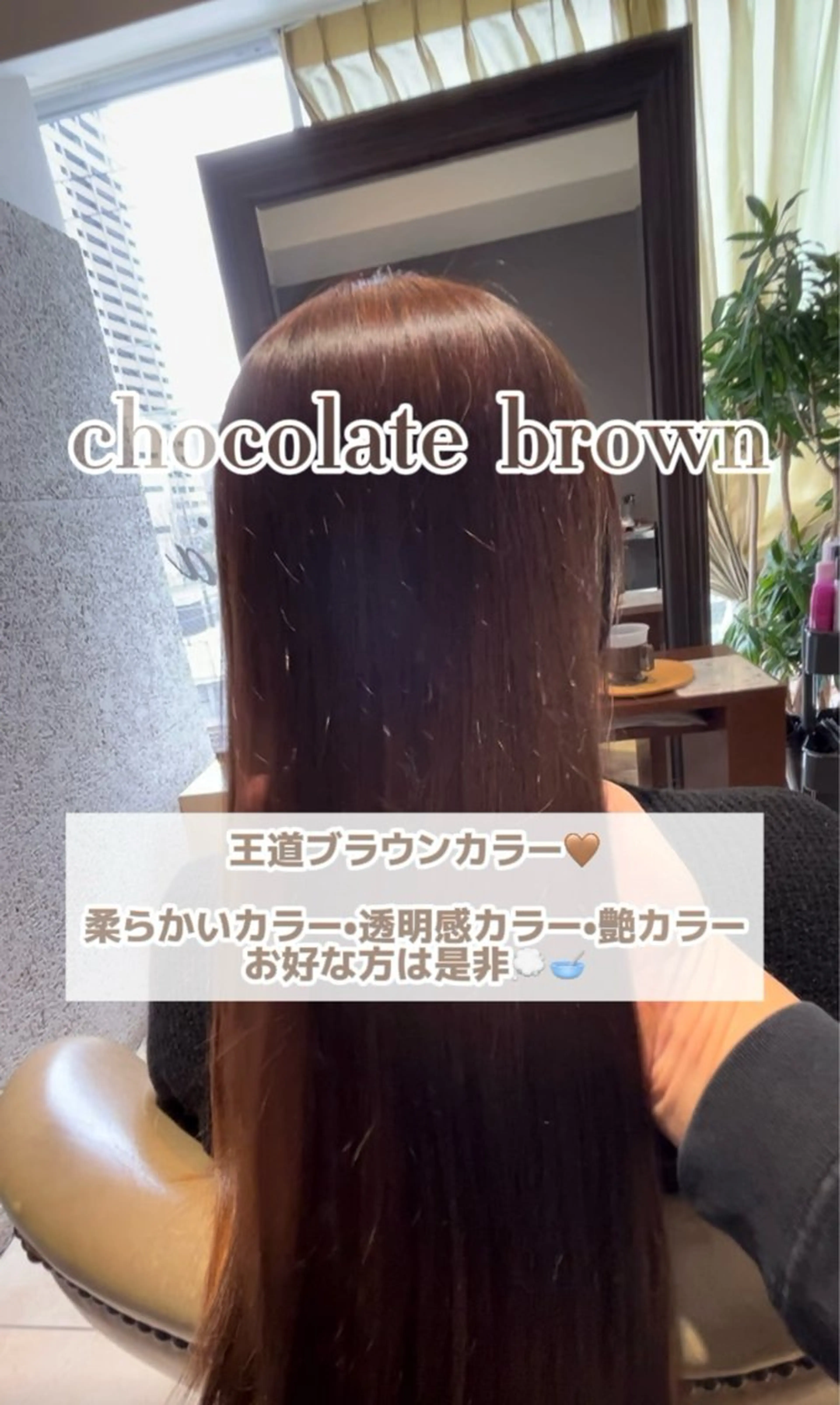 セミロング カラー Alegria アレグリアのヘアスタイル