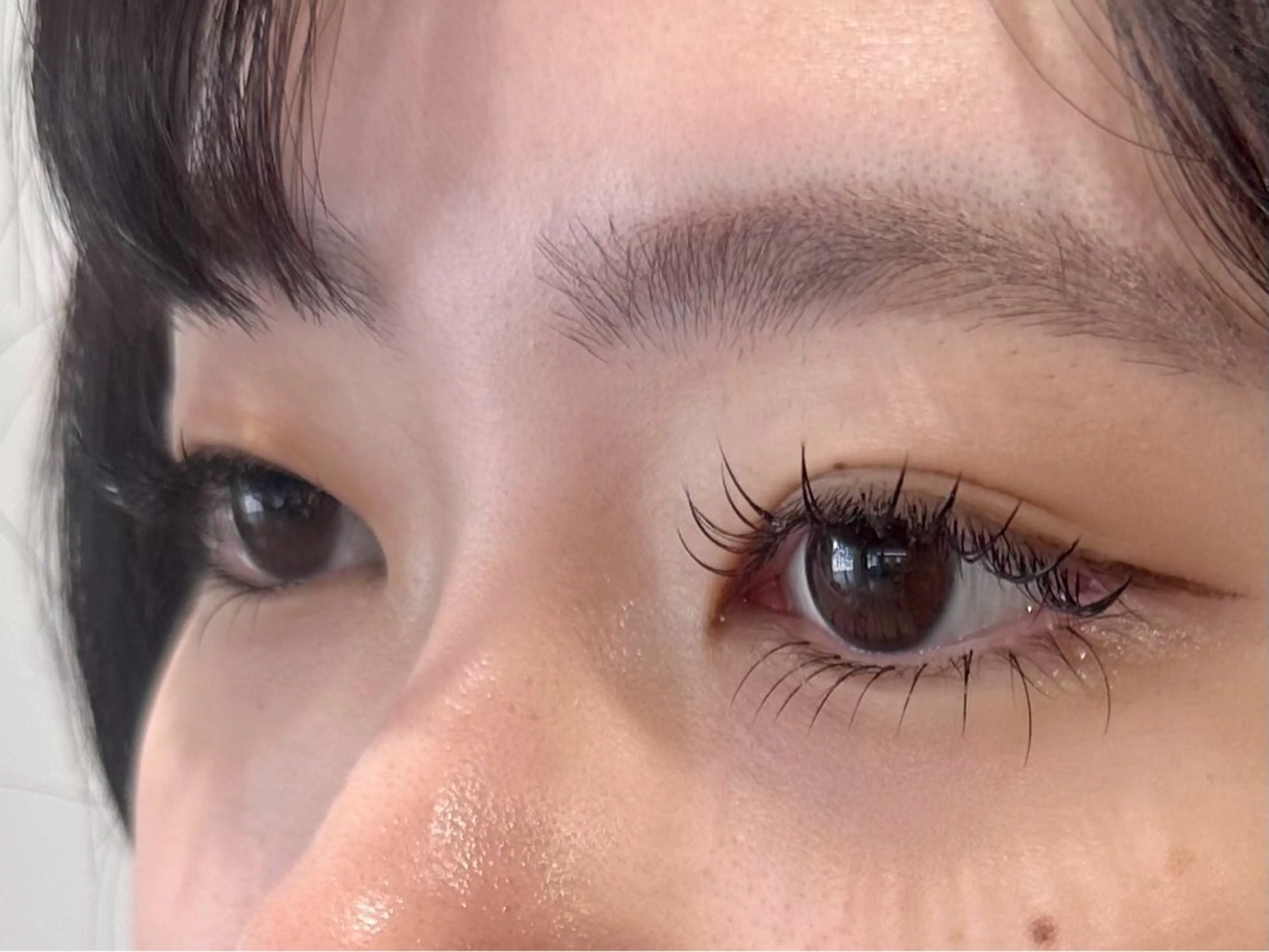 【当店人気No.2🥈】【7400円→4900円❣️】ラッシュリフト120本(オフ&コーティング付)🎀´-の写真