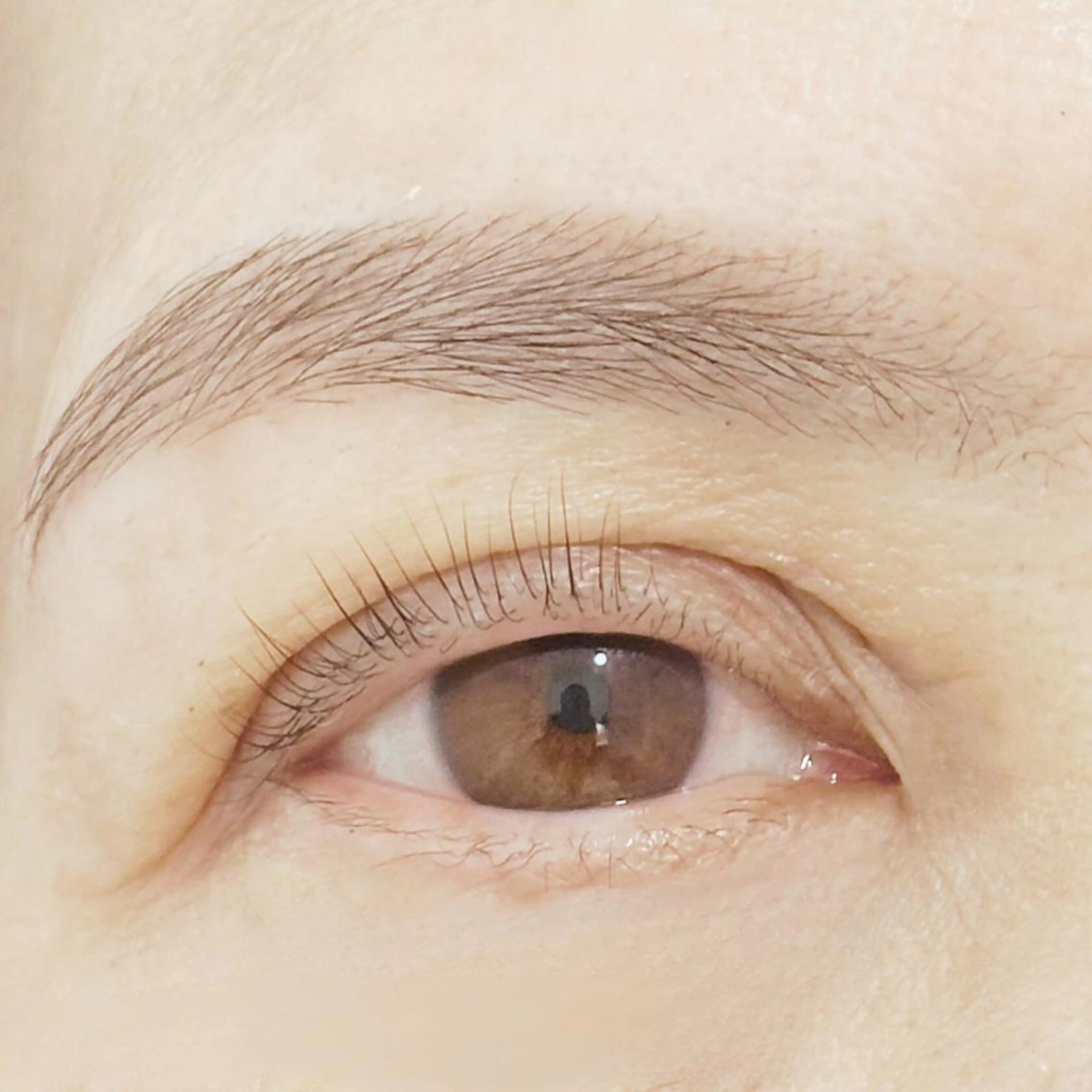 【横顔美人✨】パリジェンヌラッシュリフト+アイブロウ眉WAX🌿目元印象×骨格バランスの整った横顔への写真