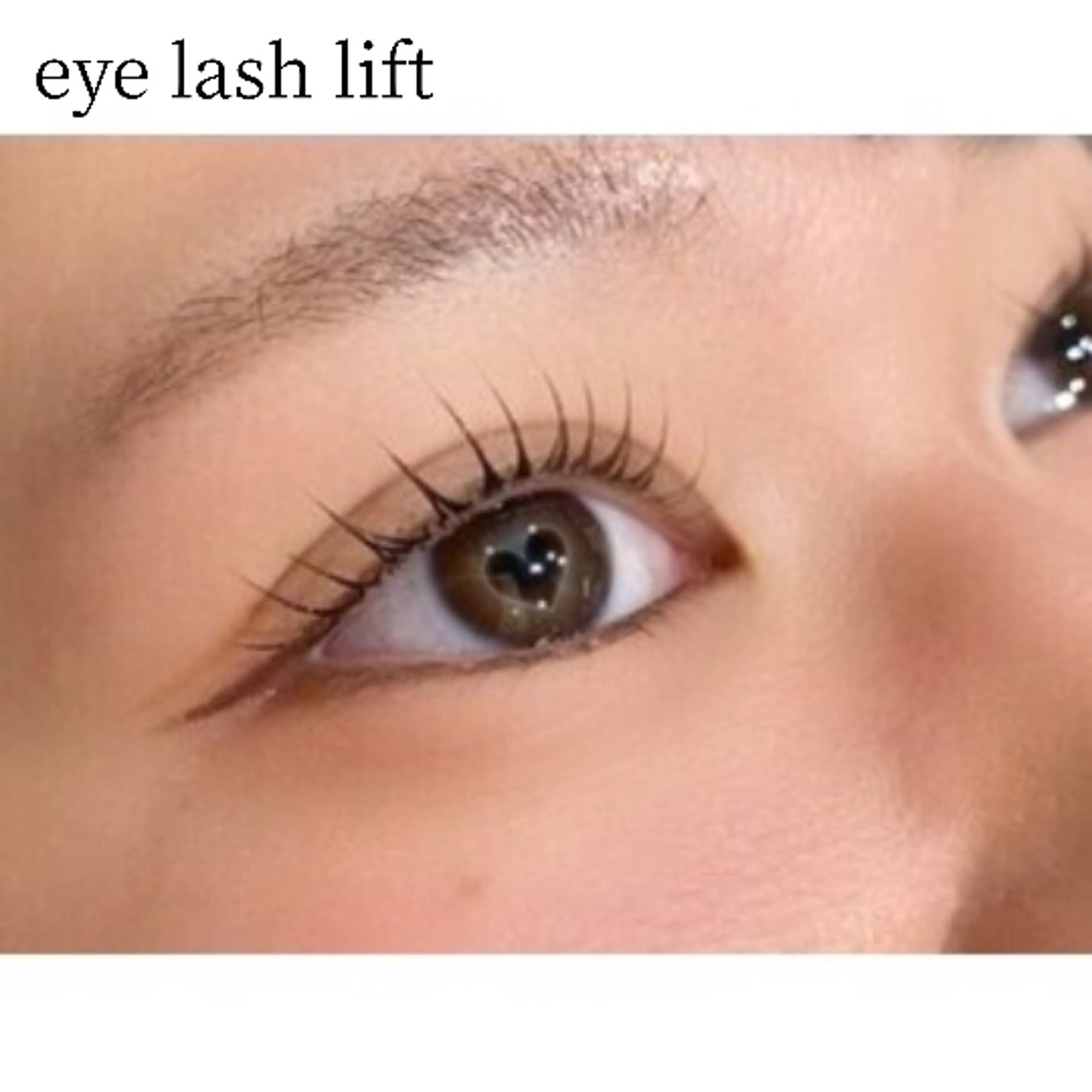 \\ ご新規さま // 🧡 上ラッシュリフト 🐡✶⋆.˚の写真