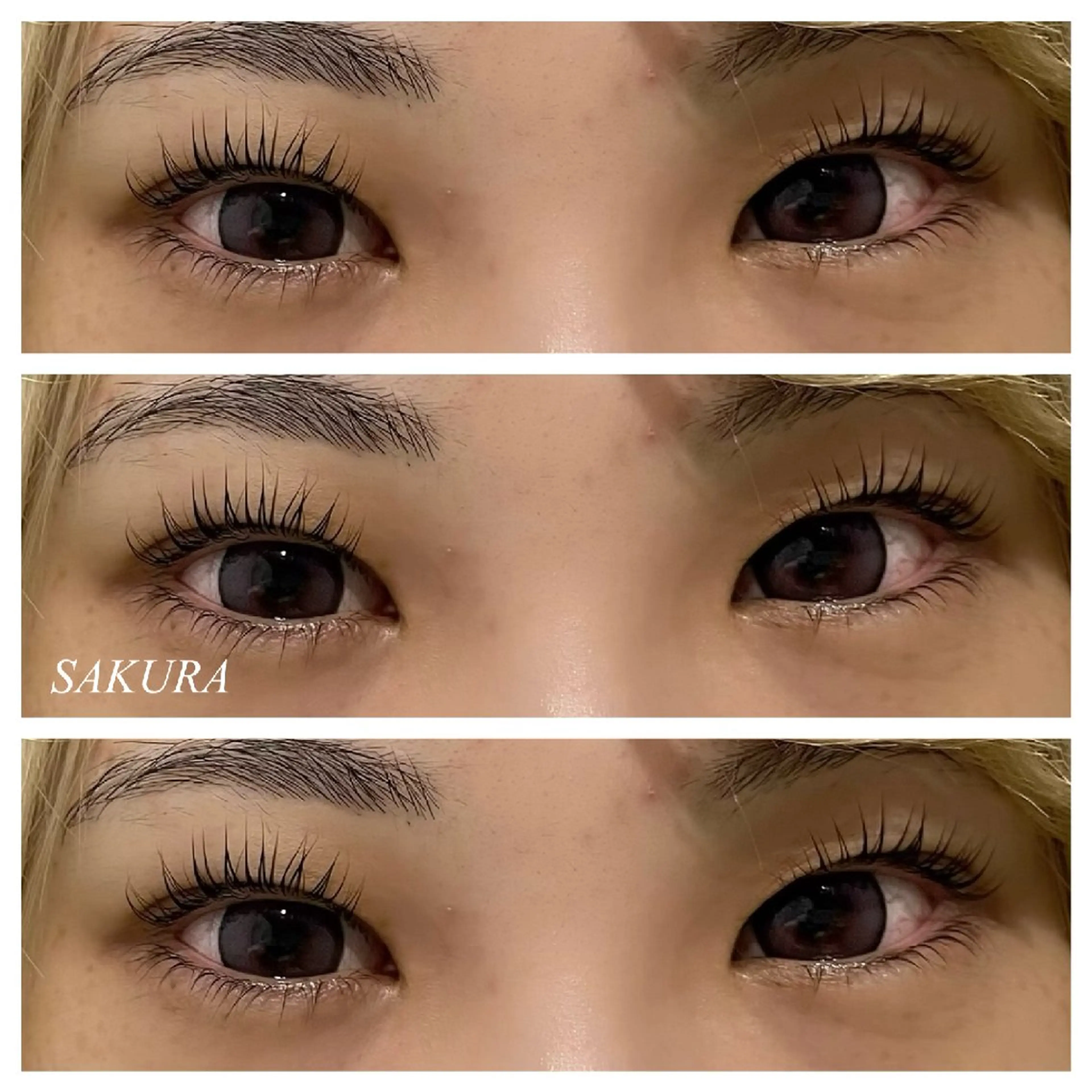 マツエク・マツパ パリジェンヌラッシュリフト EYE405 SAKURAのマツエク・マツパデザイン