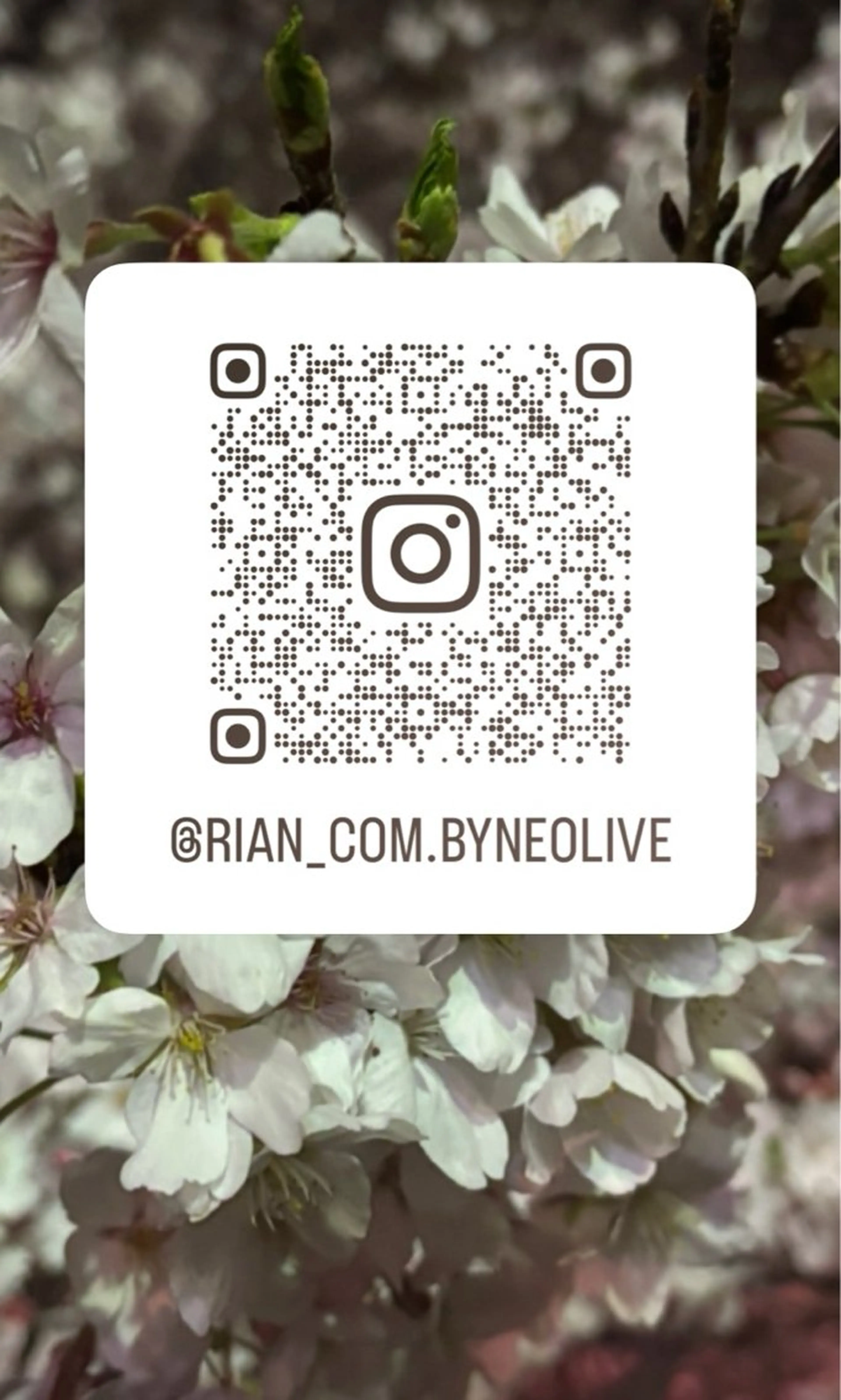 カラー ヘアカラー 関根 莉杏のヘアスタイル