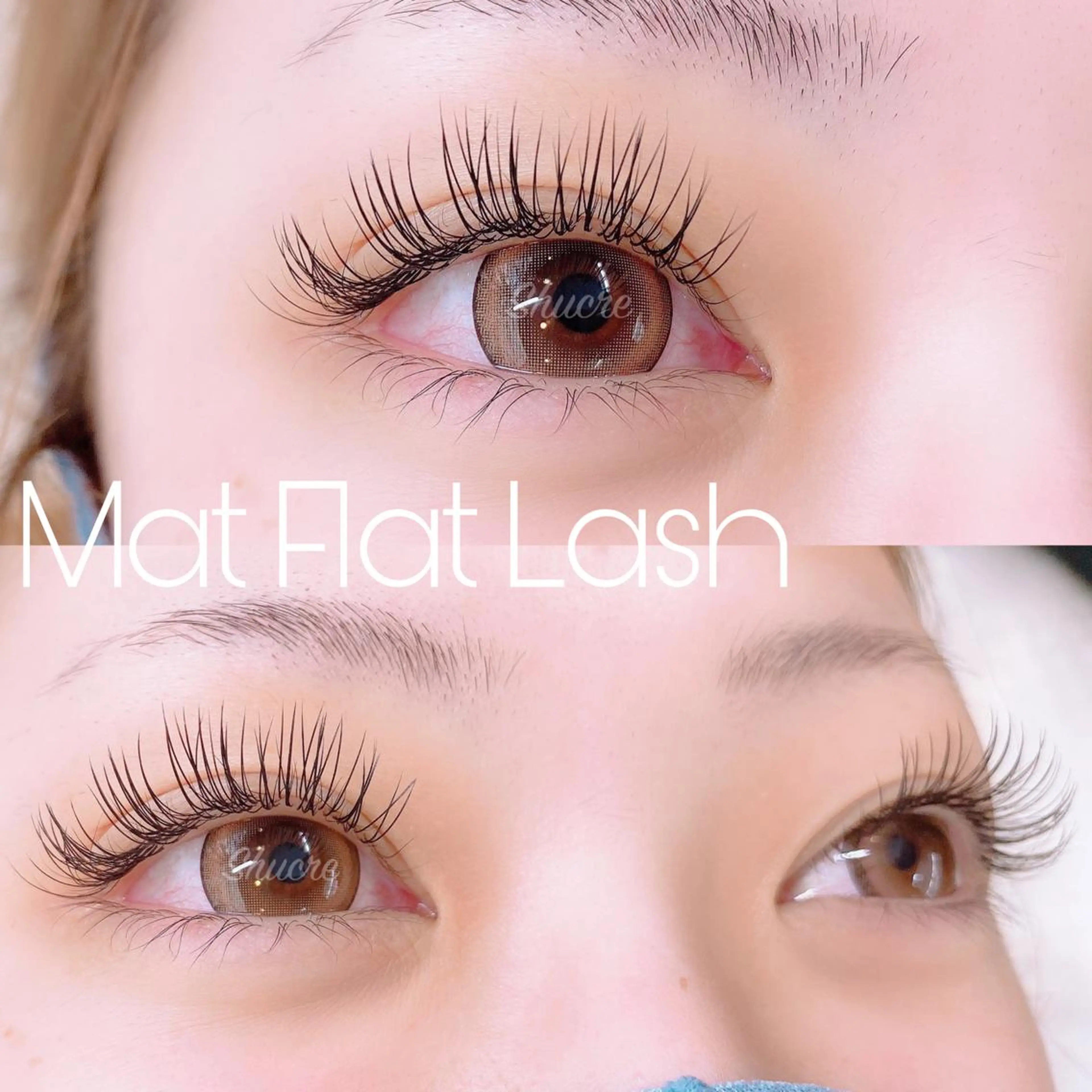 マツエク・マツパ Shucre栄店🤍 Rikaのマツエク・マツパデザイン