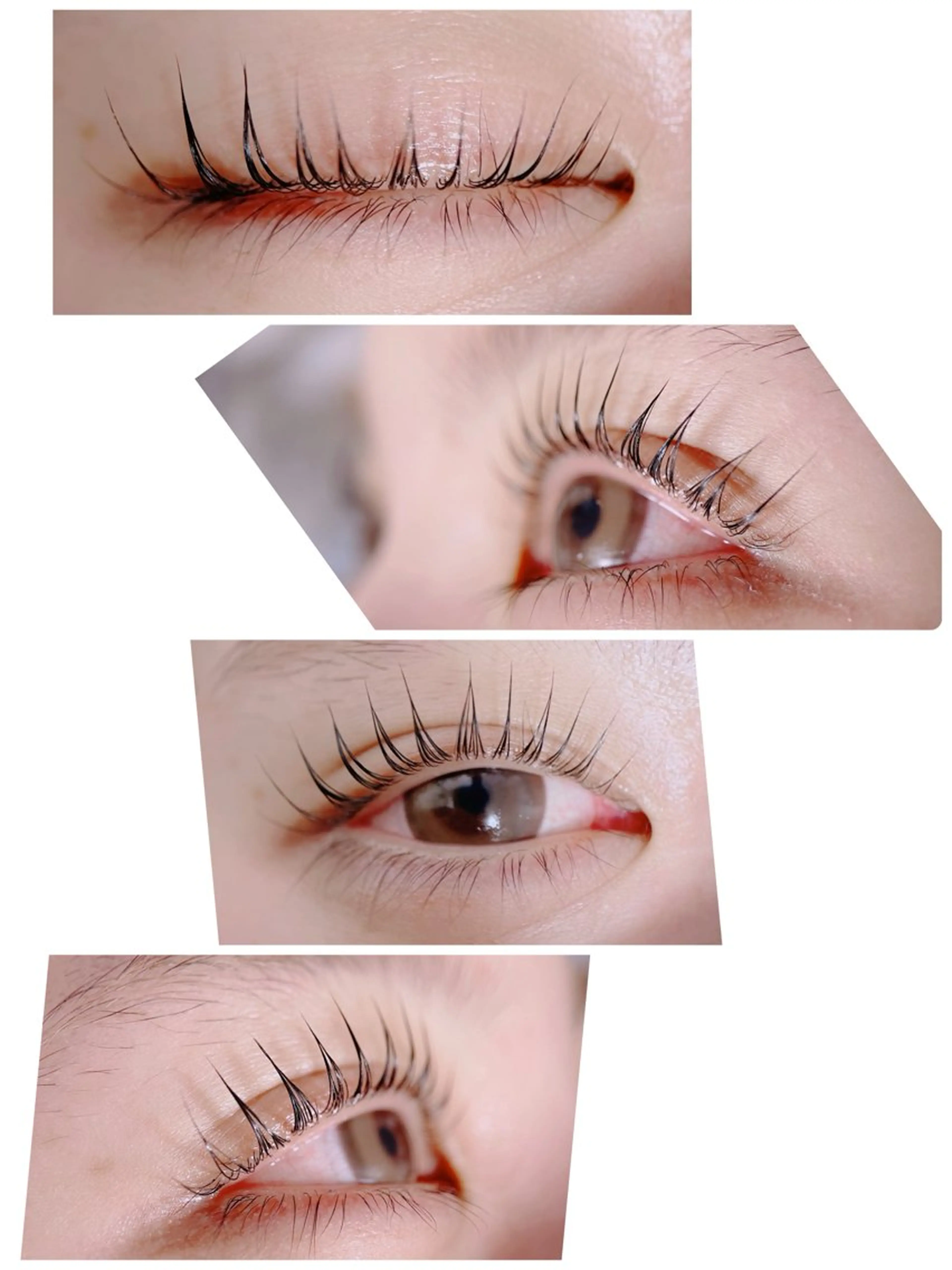 まつ毛パーマ❤︎(上)の写真