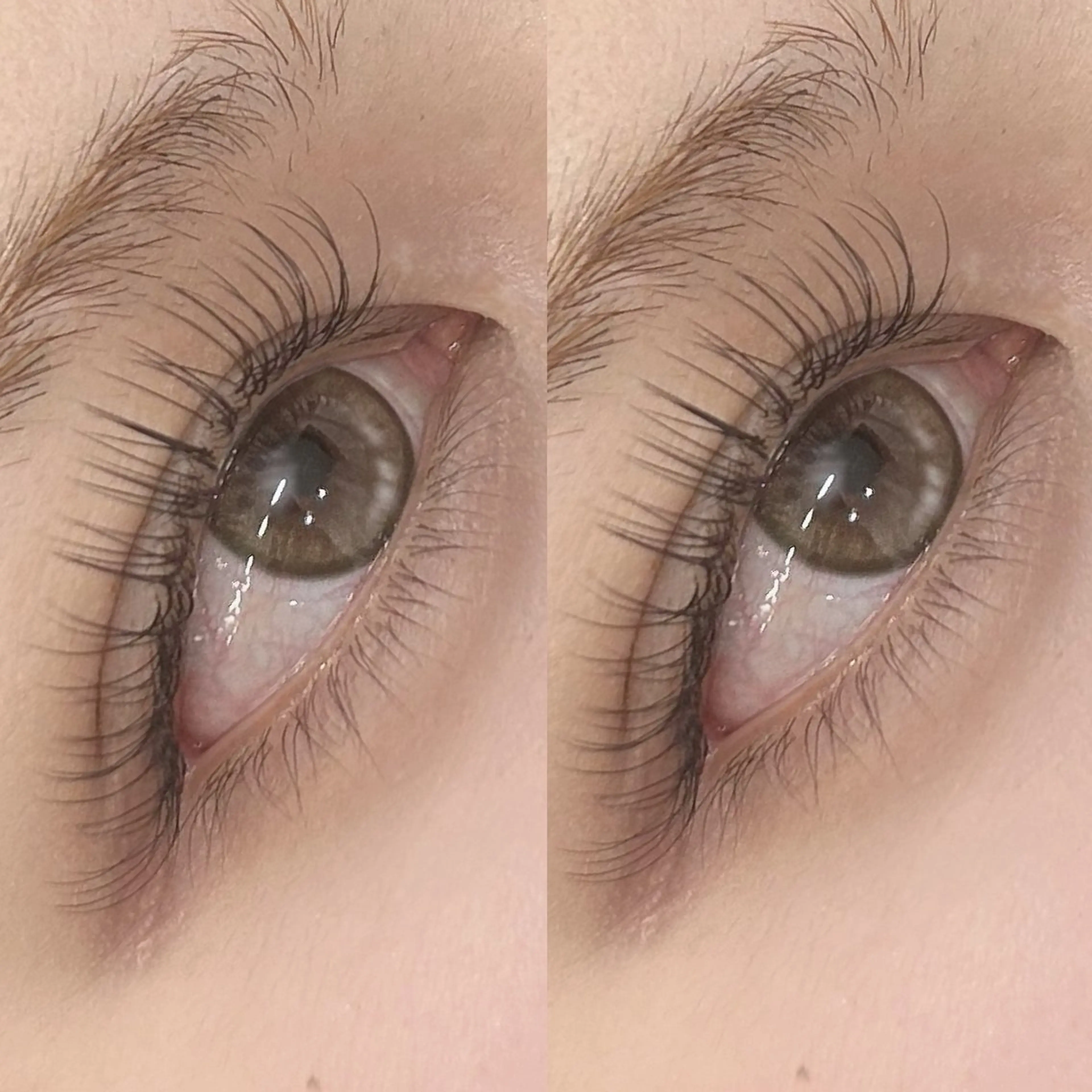 マツエク・マツパ フラットラッシュ ナチュラル 🍓Q-LASH ニイミ🍓のマツエク・マツパデザイン