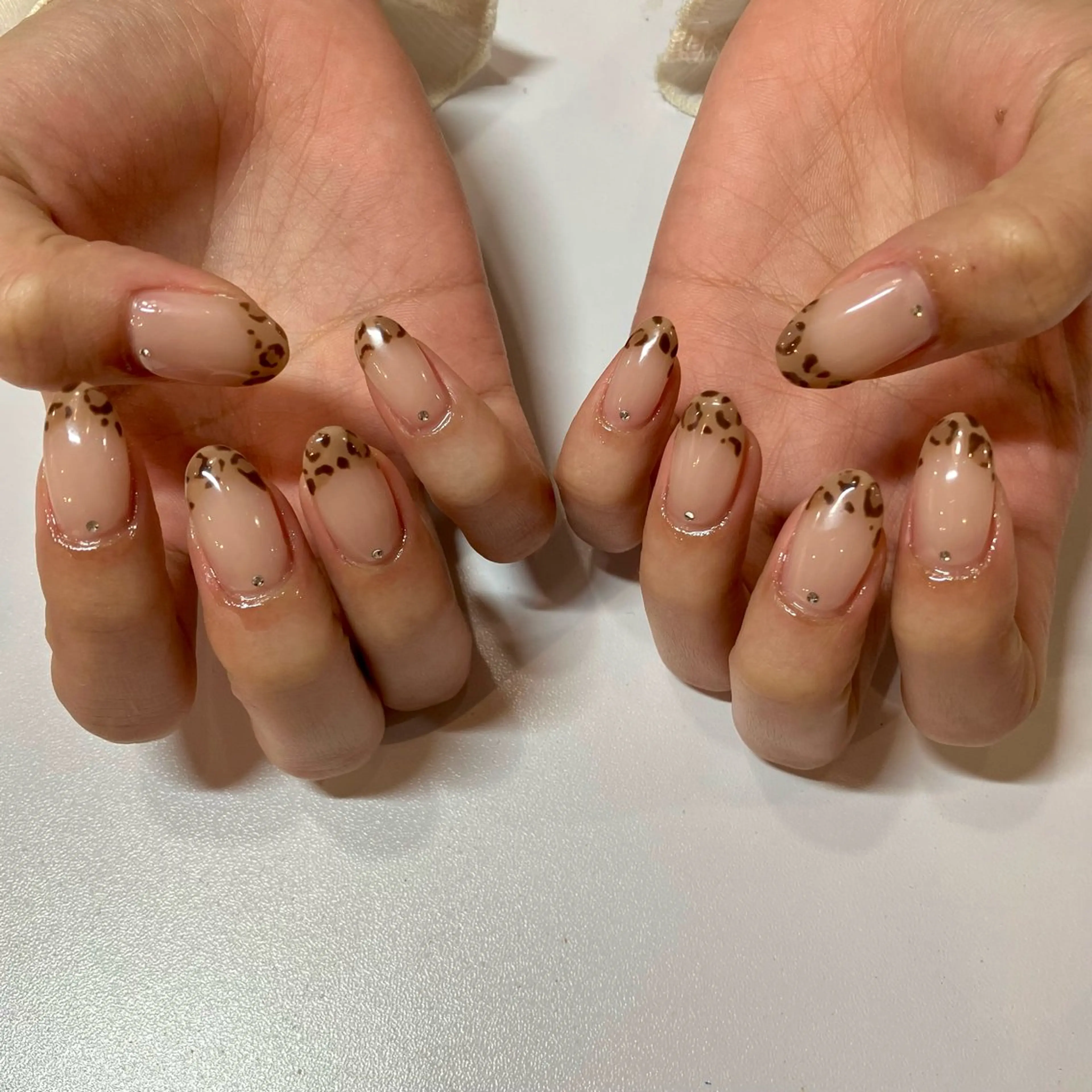 ネイル アニマル柄 フレンチネイル Take Manaのネイルデザイン