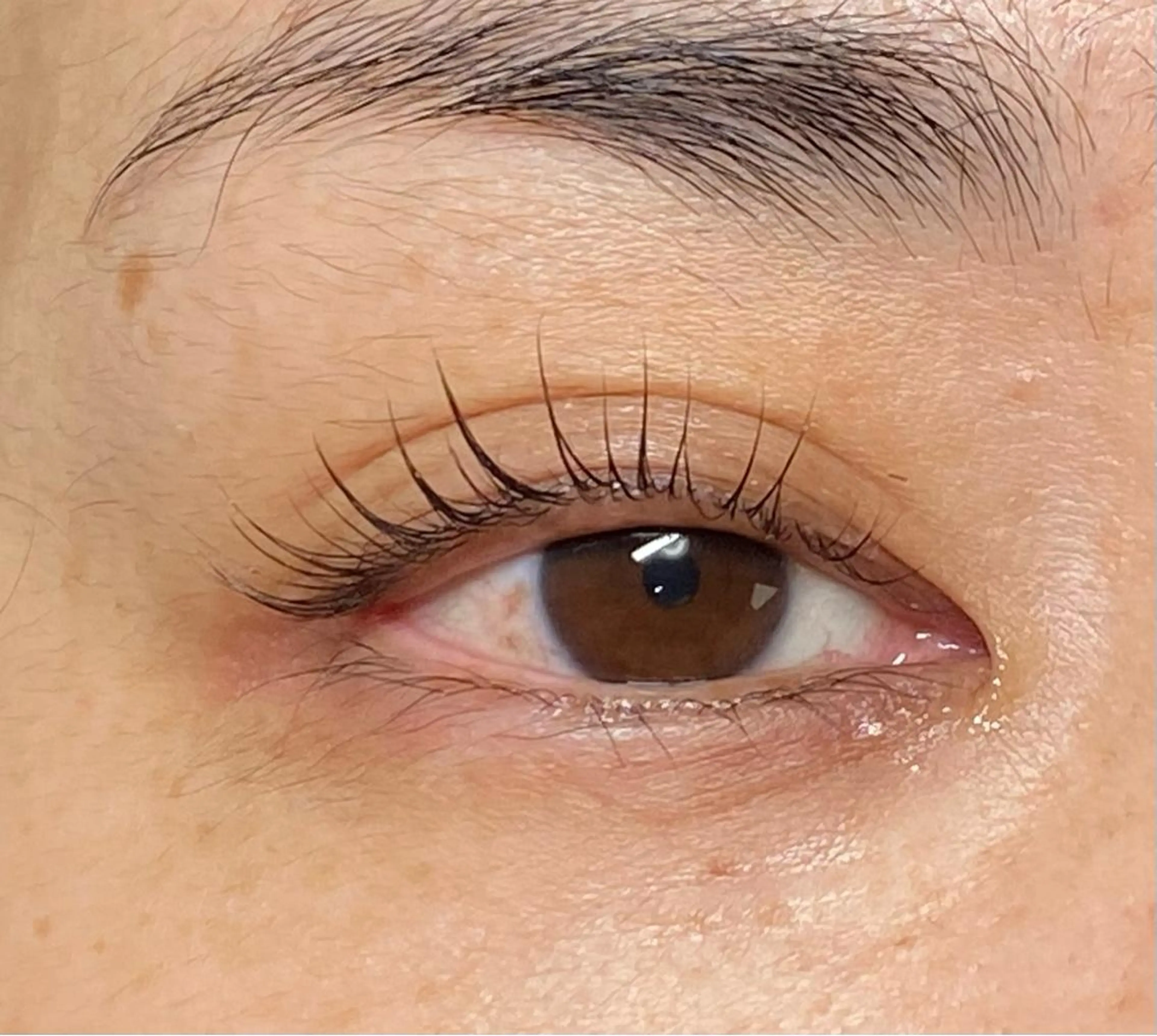 マツエク・マツパ ビューティーサロン h.uのマツエク・マツパデザイン