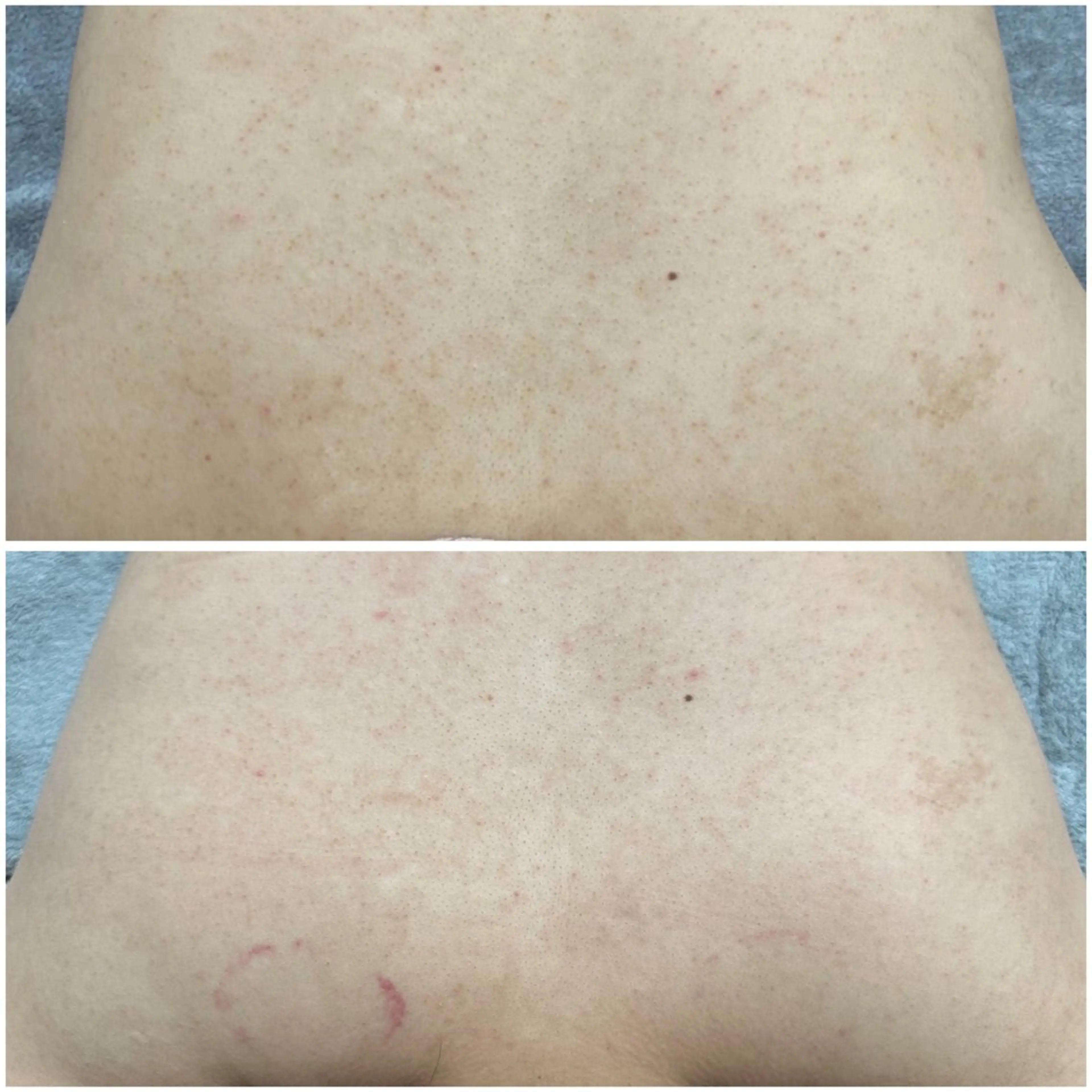 その他 エレファンテブランコ RIOのその他イメージ