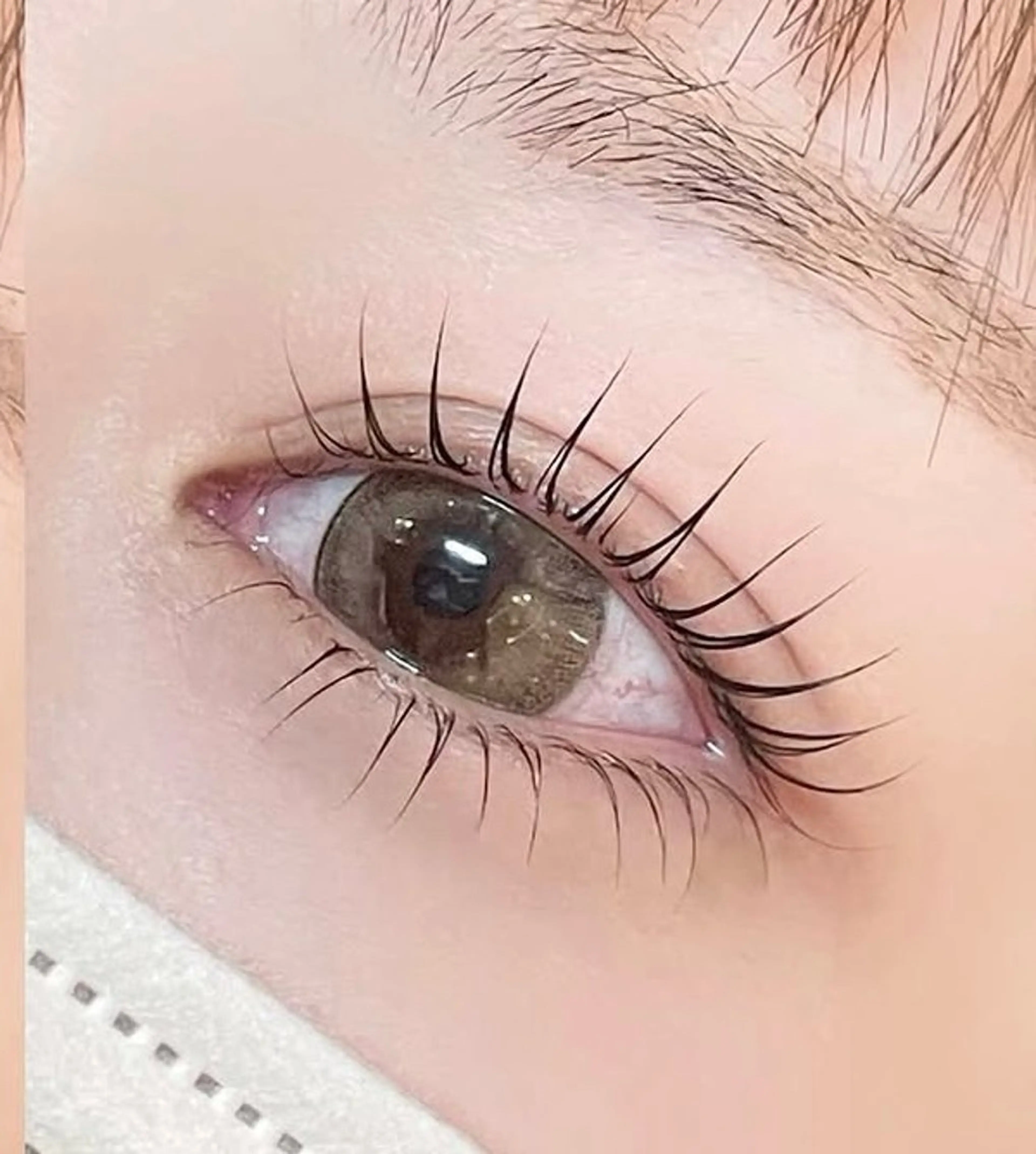 🎀上下まつ毛パーマ🎀の写真