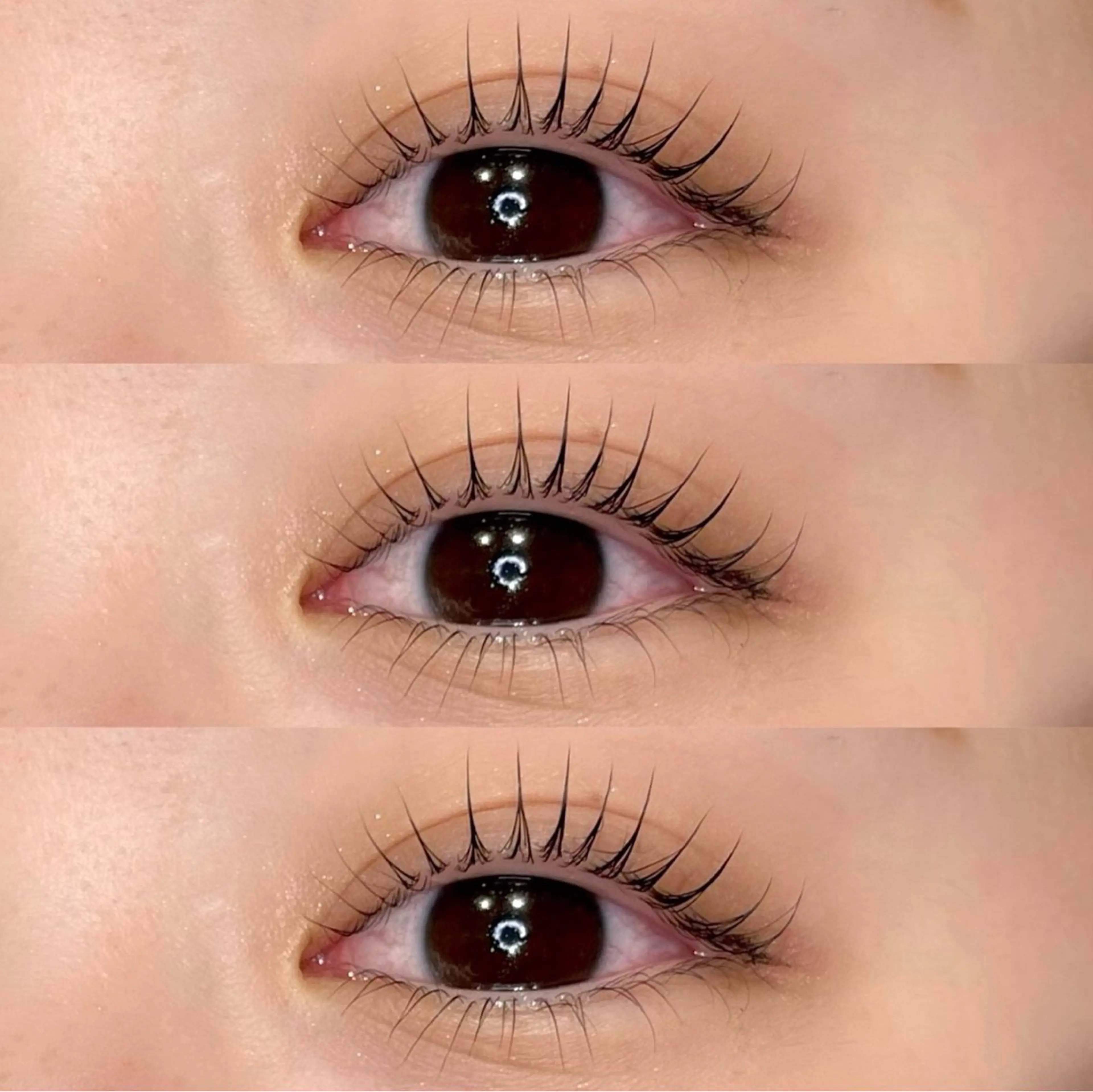 ケラチンラッシュリフト高濃度Tr付🌿🩵コーティング仕上げの写真