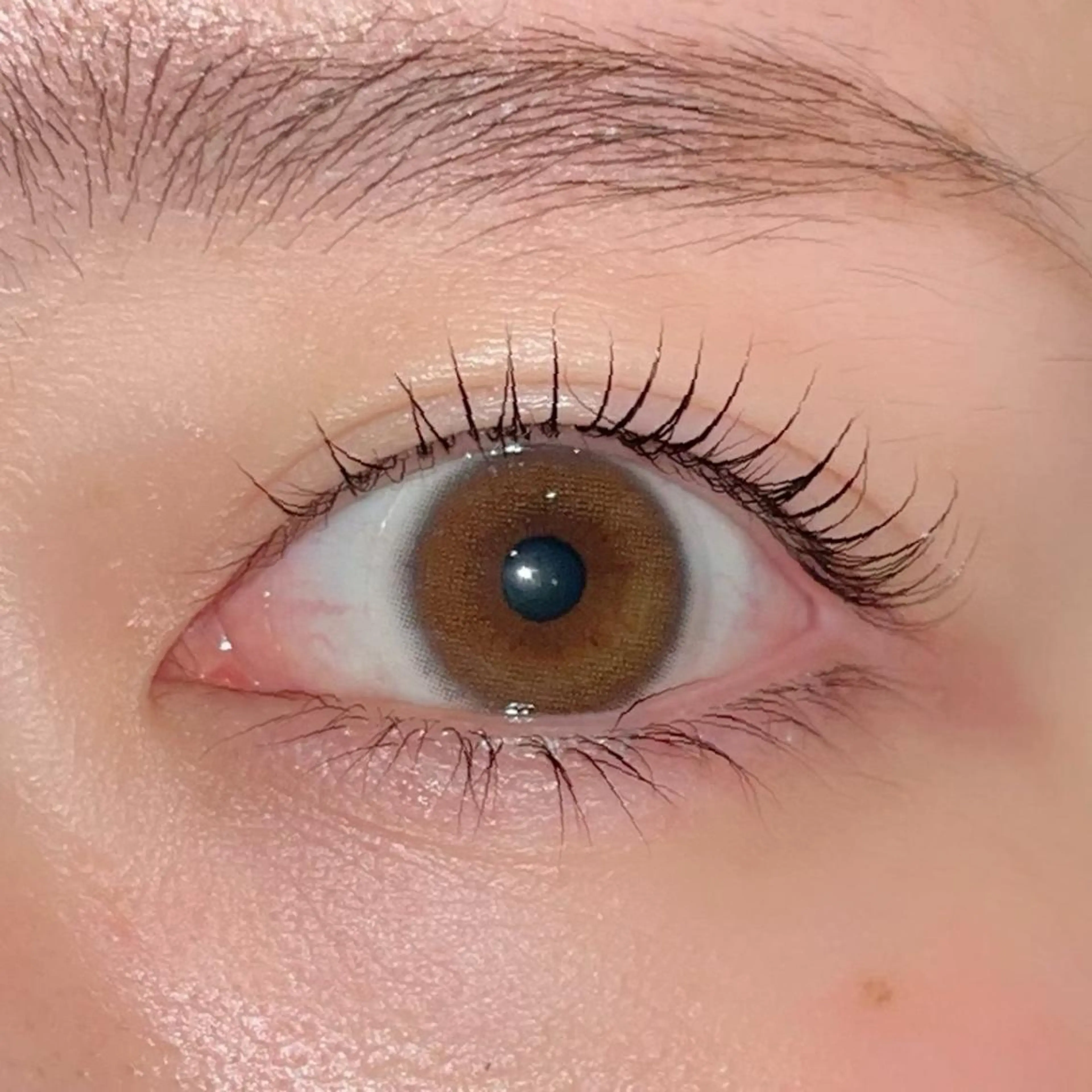 マツエク・マツパ パリジェンヌラッシュリフト まつげパーマ ai一重専門🎀束感 まつげ🫧表参道のマツエク・マツパデザイン