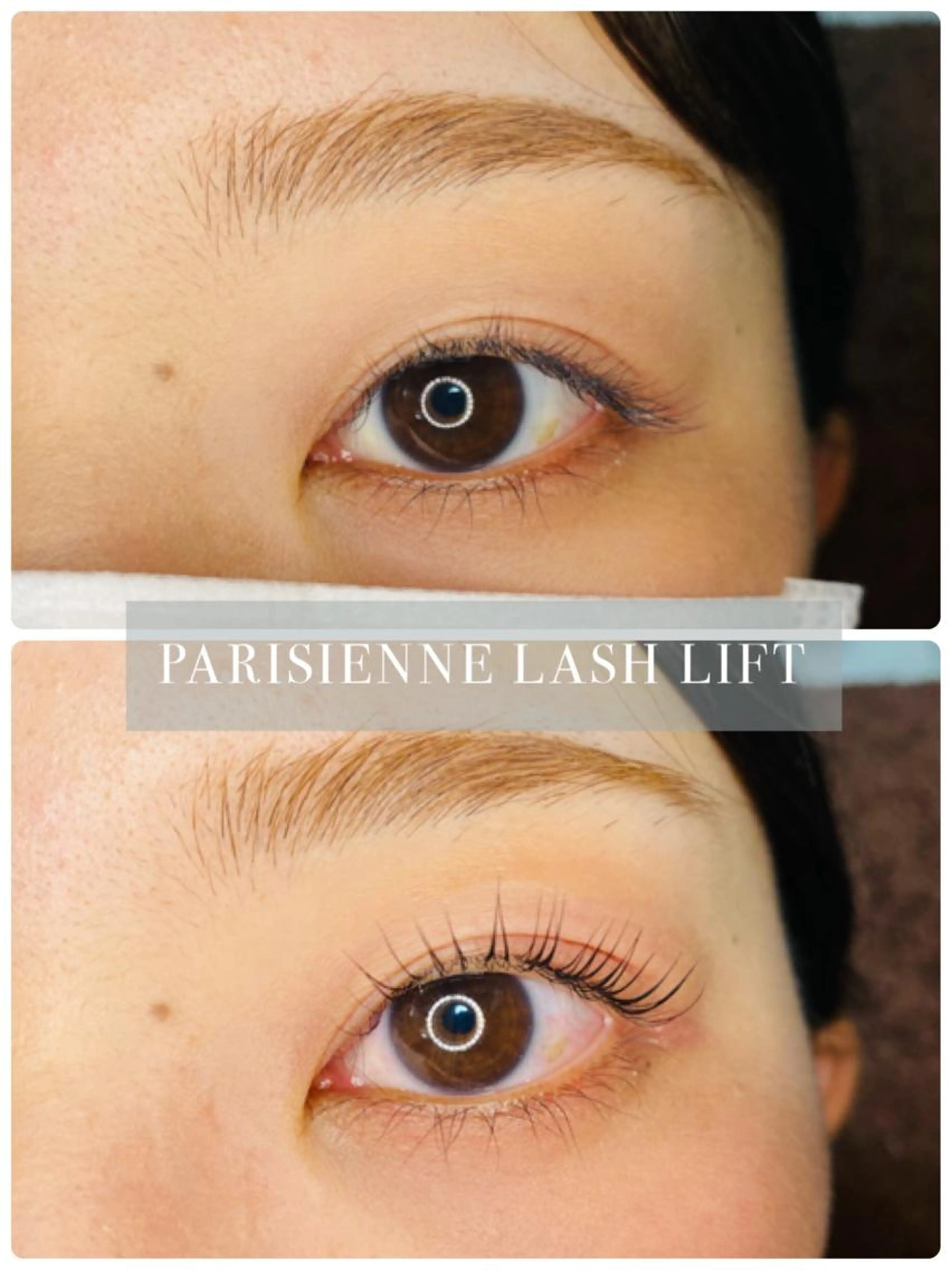 ミニモ学割【ラッシュリフト】🌟ティントコーティング🌟施術後のお写真OKな方🍀*゜の写真