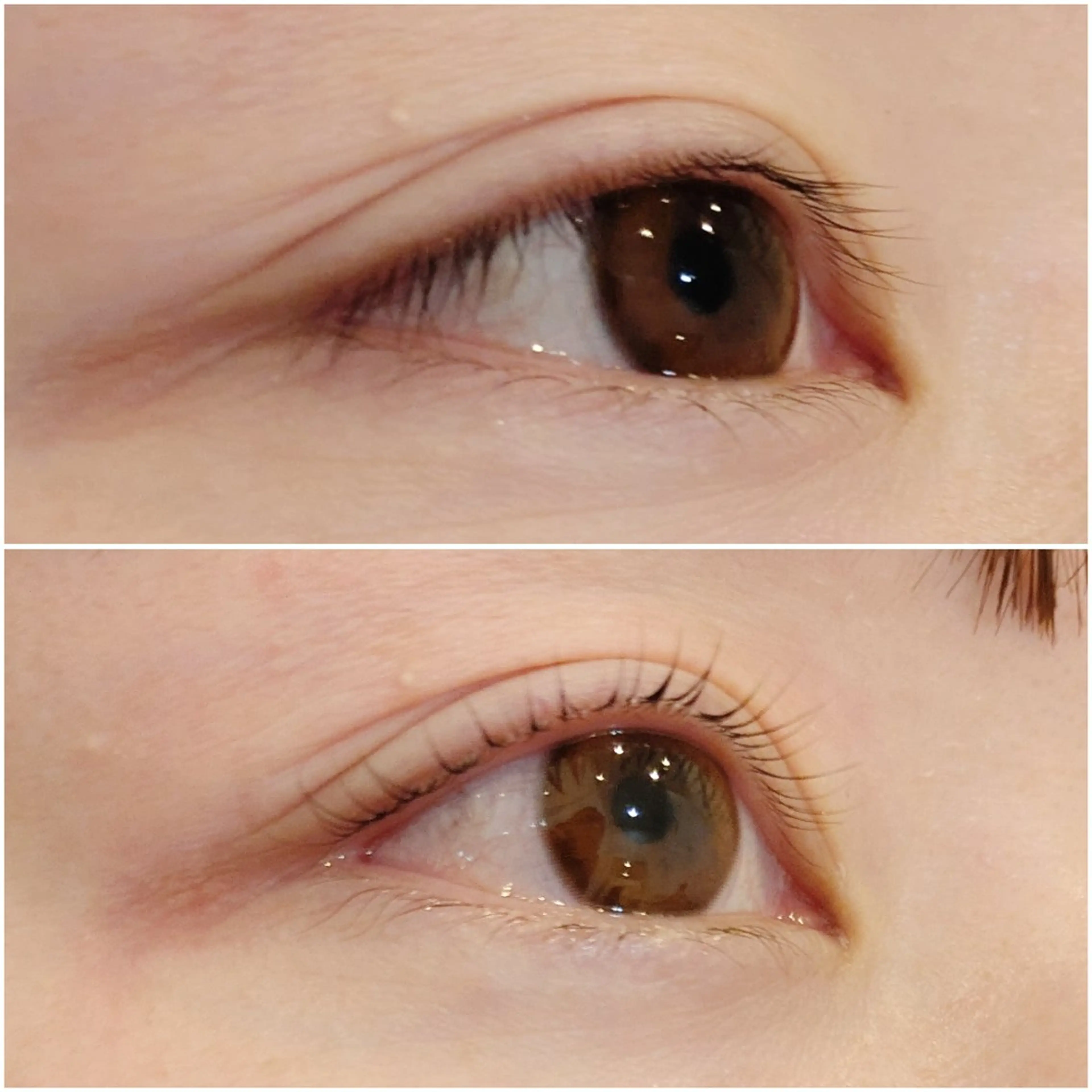 マツエク・マツパ 一重×まつ毛パーマ 【泉中央】CLASS 中村のマツエク・マツパデザイン