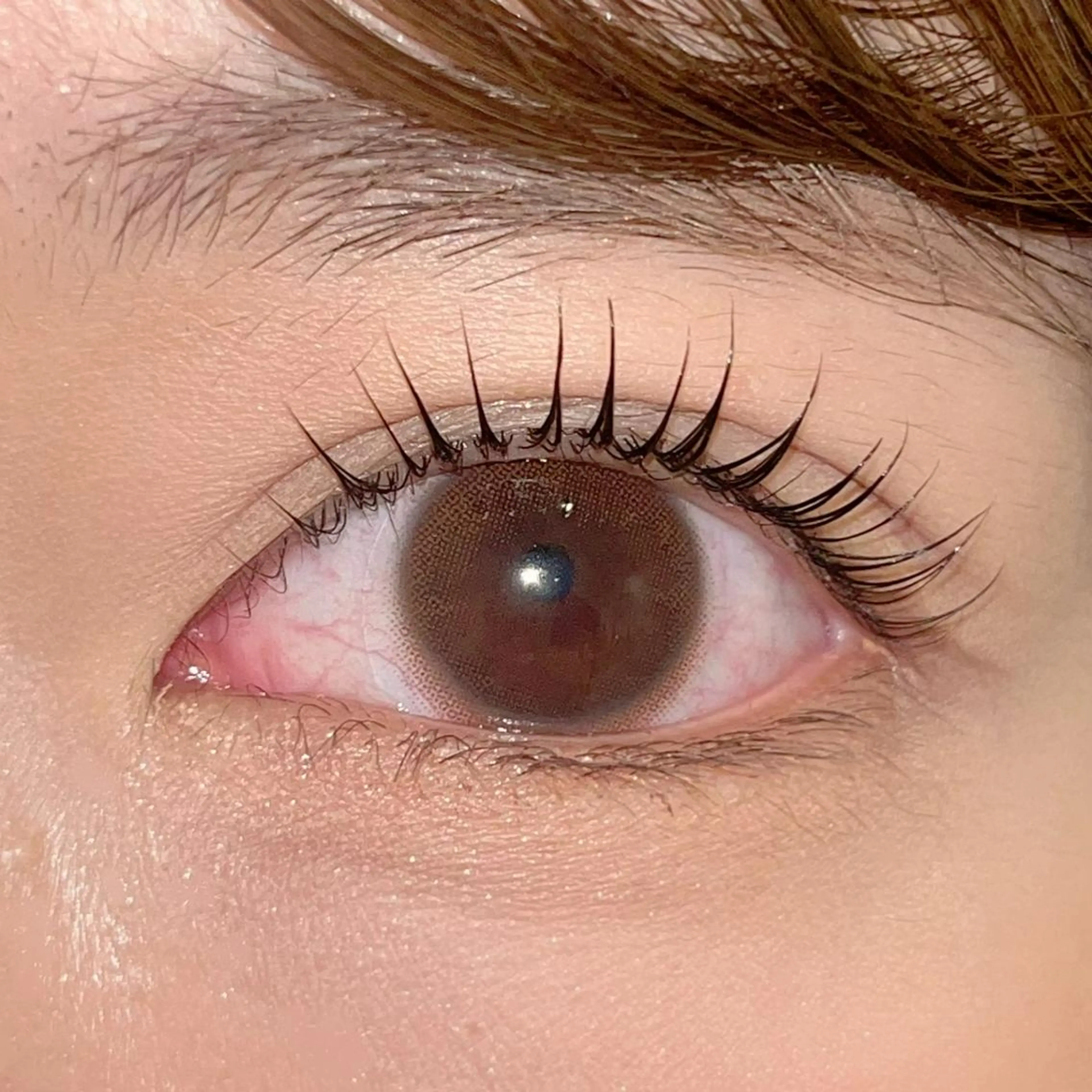 マツエク・マツパ パリジェンヌラッシュリフト まつげパーマ ai一重専門🎀束感 まつげ🫧表参道の眉毛・アイブロウイメージ