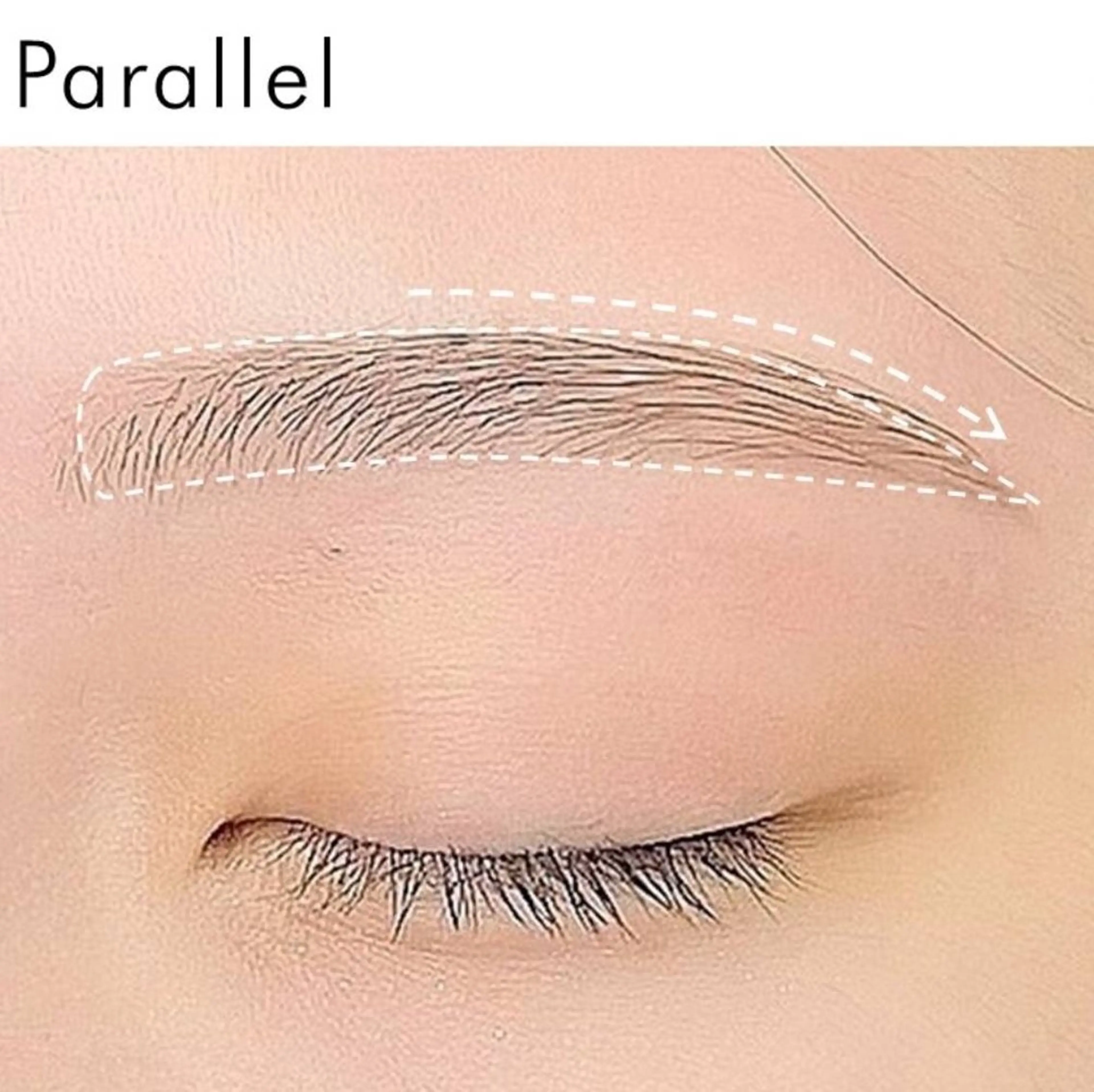 アイブロウ sasaki shinjuの眉毛・アイブロウイメージ