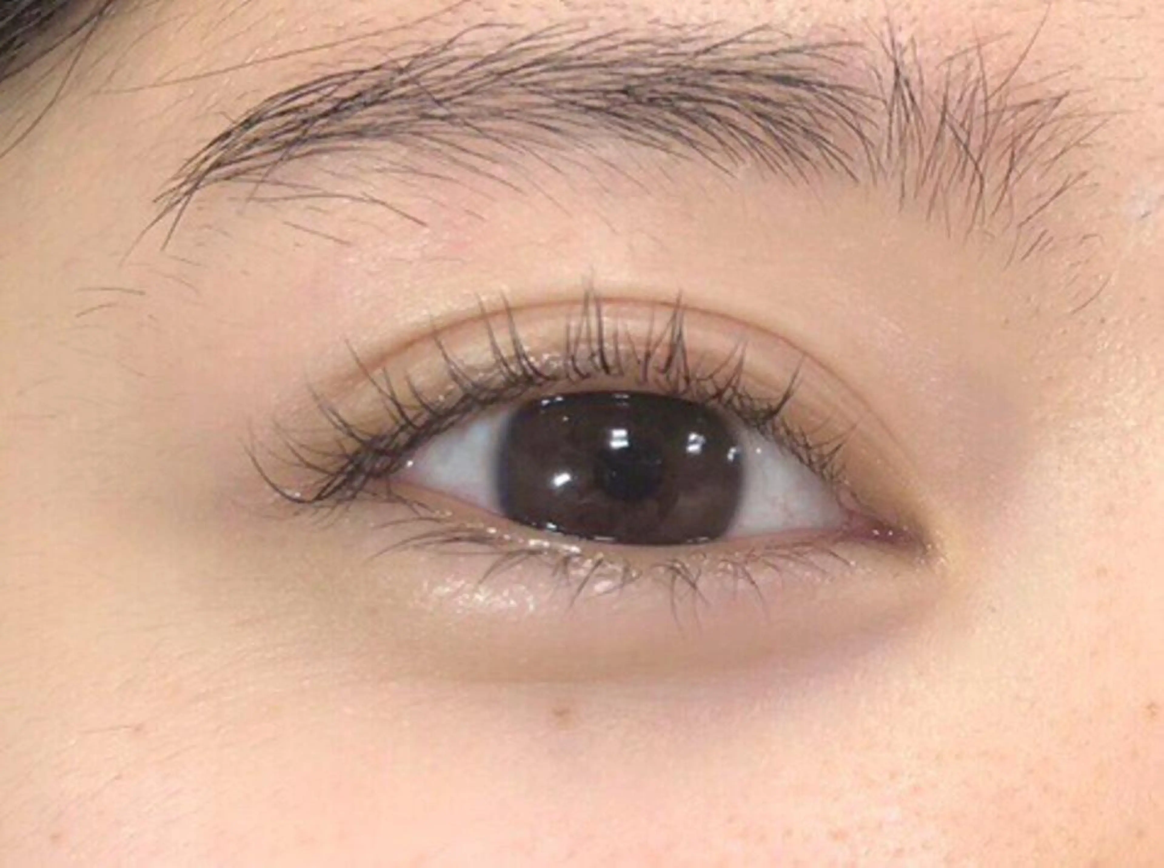 マツエク・マツパ マツパ 白潟 (シラガタ)の眉毛・アイブロウイメージ