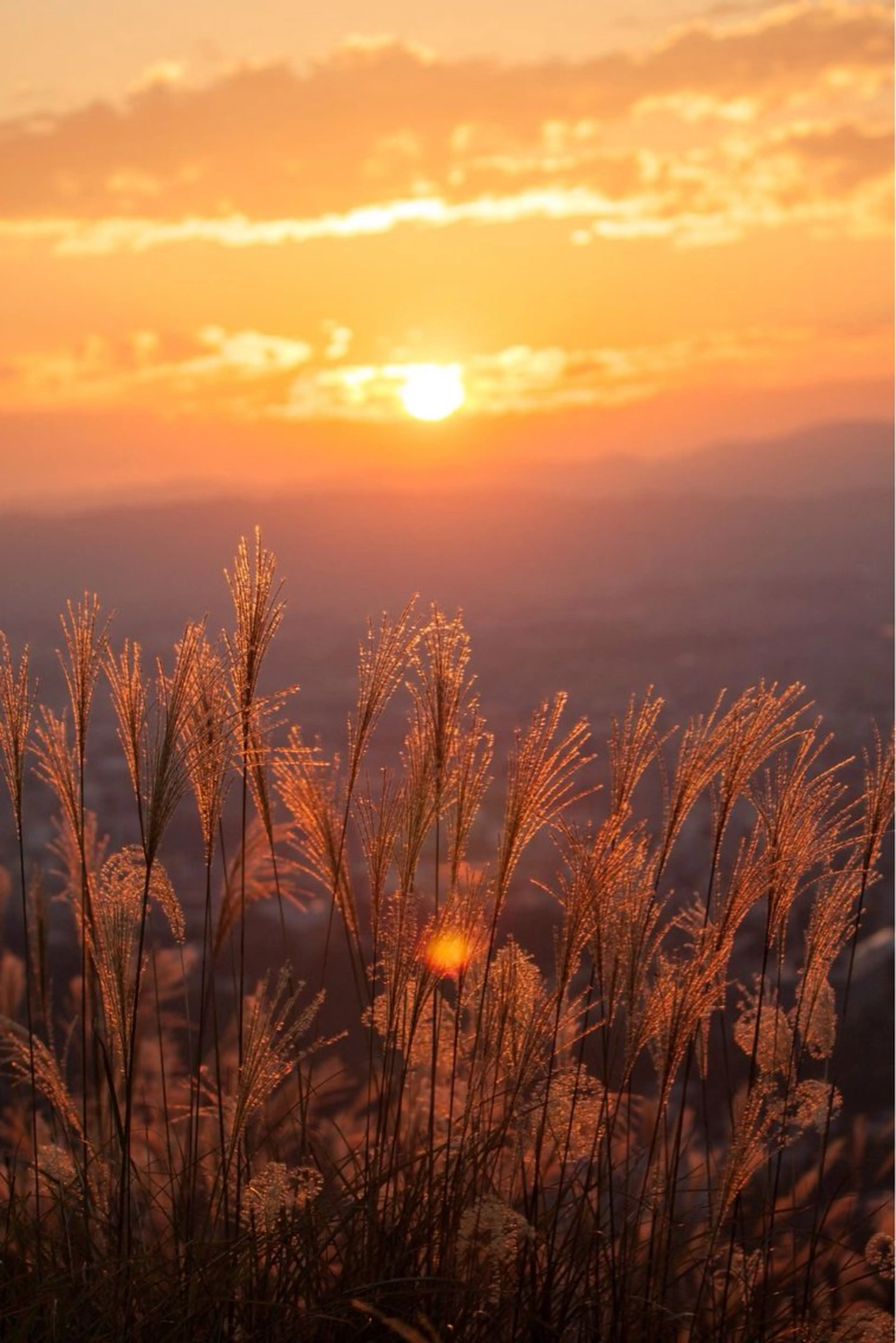ネイル asuka 🐰のネイルデザイン