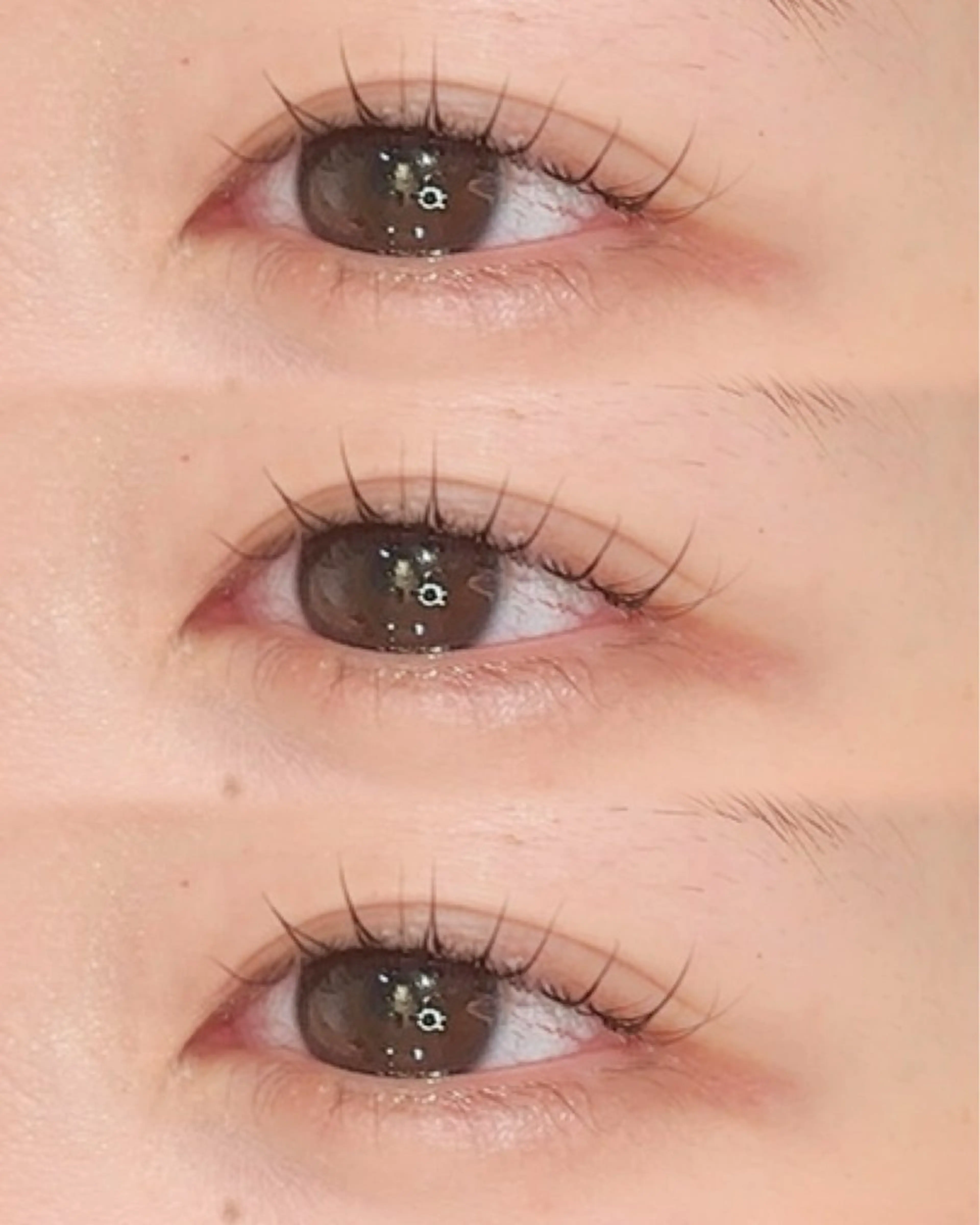 マツエク・マツパ マツパ rococo./ 清穏🌈💗🦋のマツエク・マツパデザイン